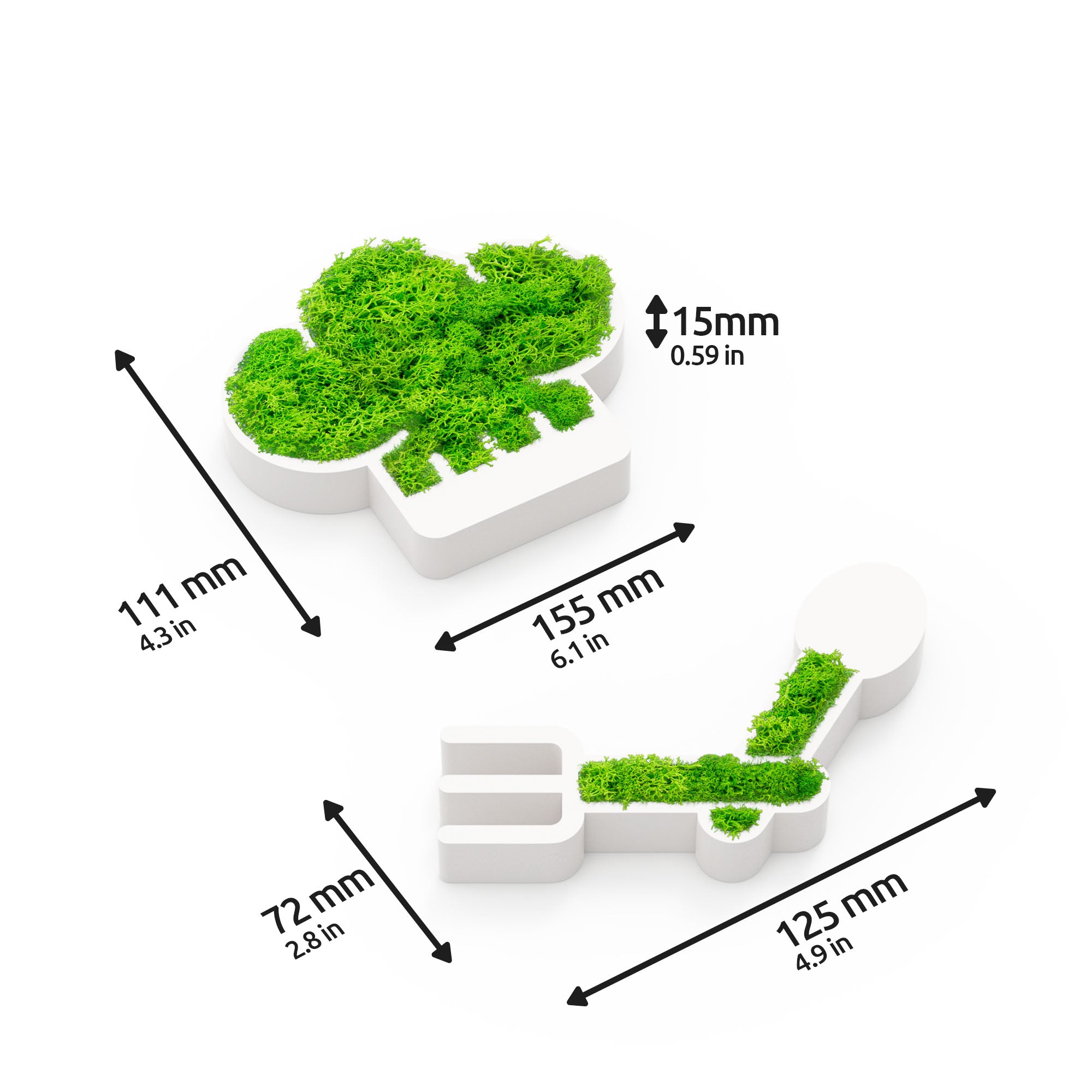 MOOSWERK Moss Door Sign Kitchen Pictogram – Natural sign with Iceland moss in a white frame