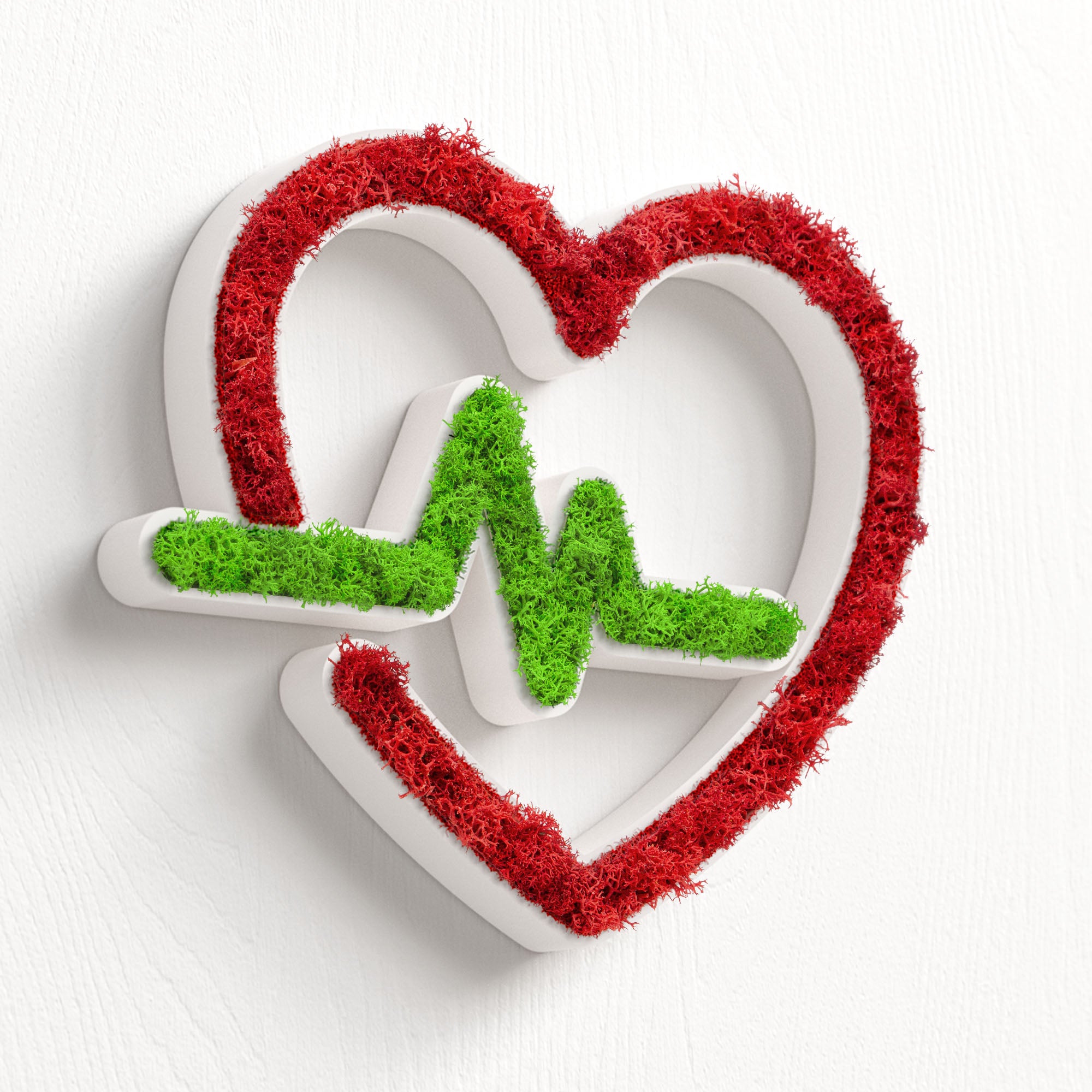 MOOSWERK Moos-Türschild Piktogramm EKG – Weißes Herzfrequenz-Symbol in eleganter Natur-Optik