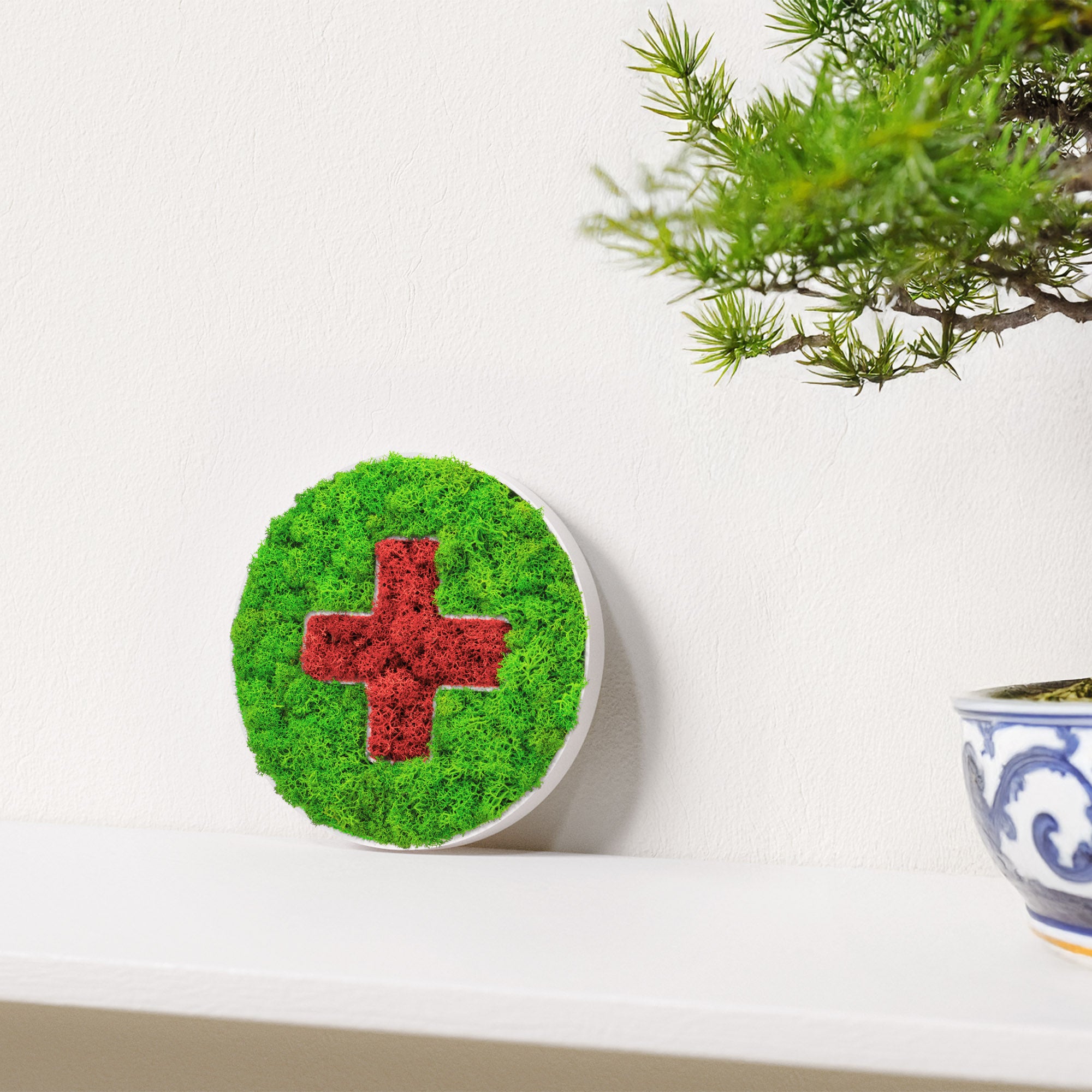 MOOSWERK Moos-Türschild Piktogramm Praxis – Stilvolle Eingangstafel aus Islandmoos im weißen Rahmen