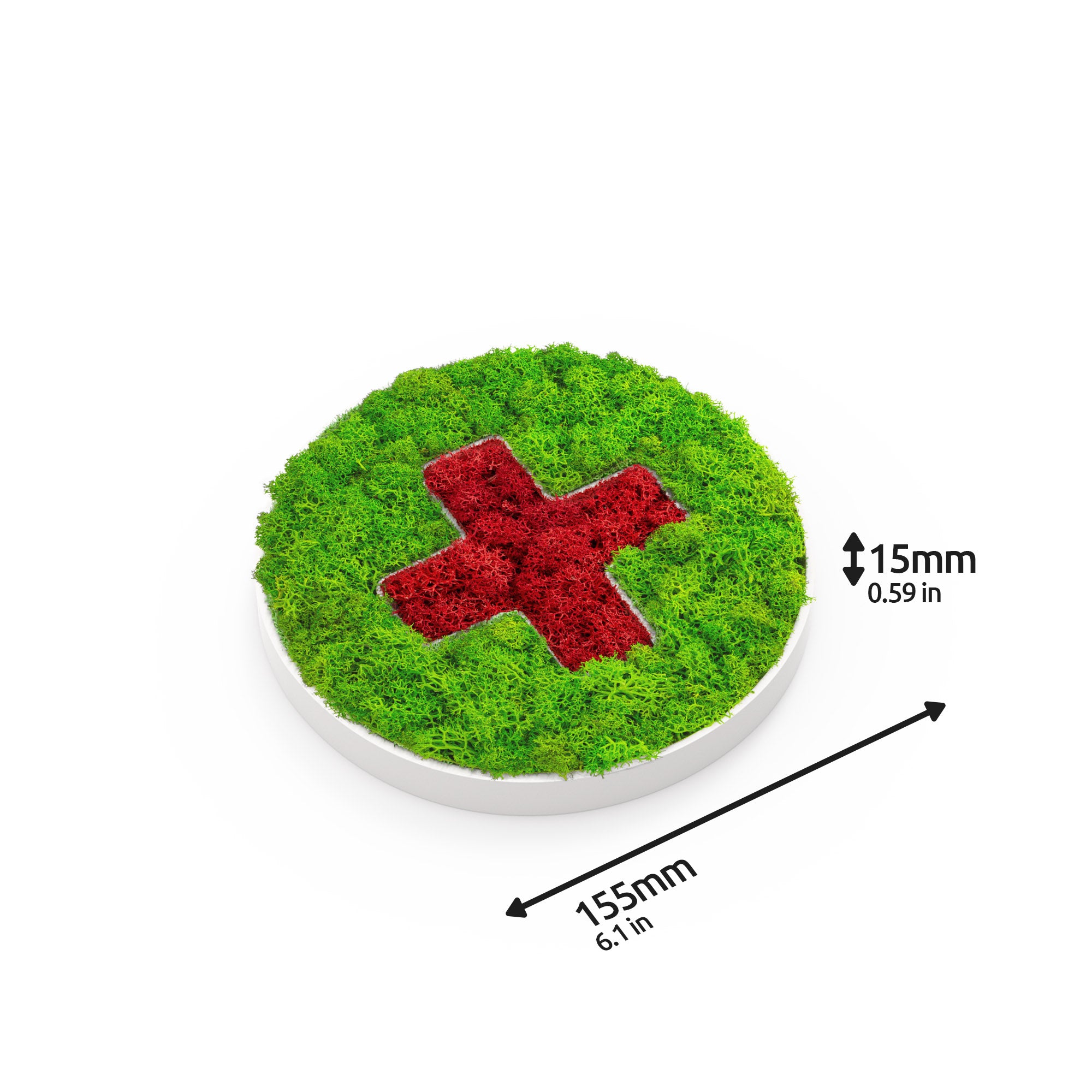 MOOSWERK Moos-Türschild Piktogramm Praxis – Stilvolle Eingangstafel aus Islandmoos im weißen Rahmen