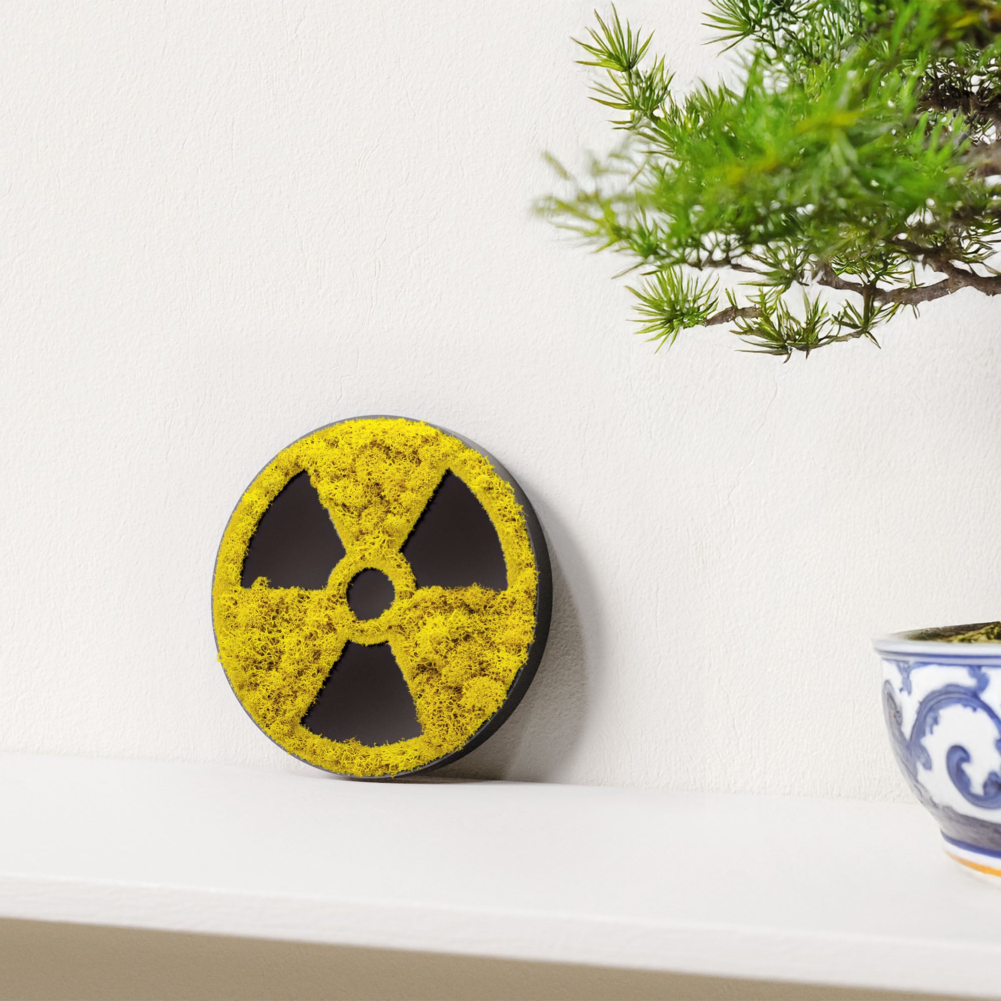 MOOSWERK Moos-Türschild Piktogramm Röntgen – Elegante Beschilderung in Schwarz für den Diagnostikraum