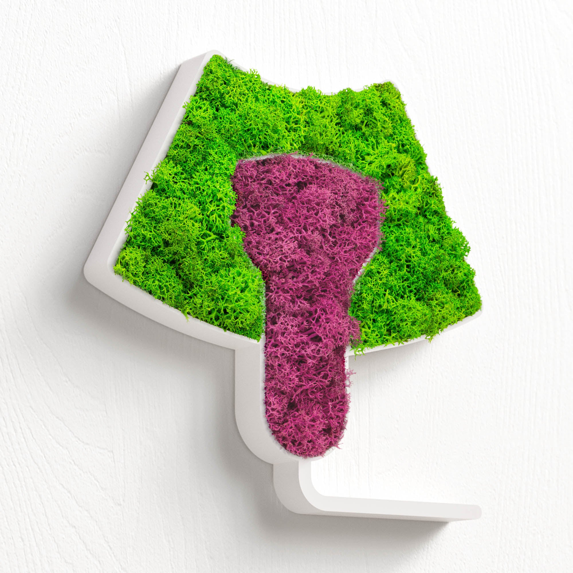 MOOSWERK Moos-Türschild Piktogramm Ultraschall – Natürliches Schild für Untersuchungszimmer Weiß