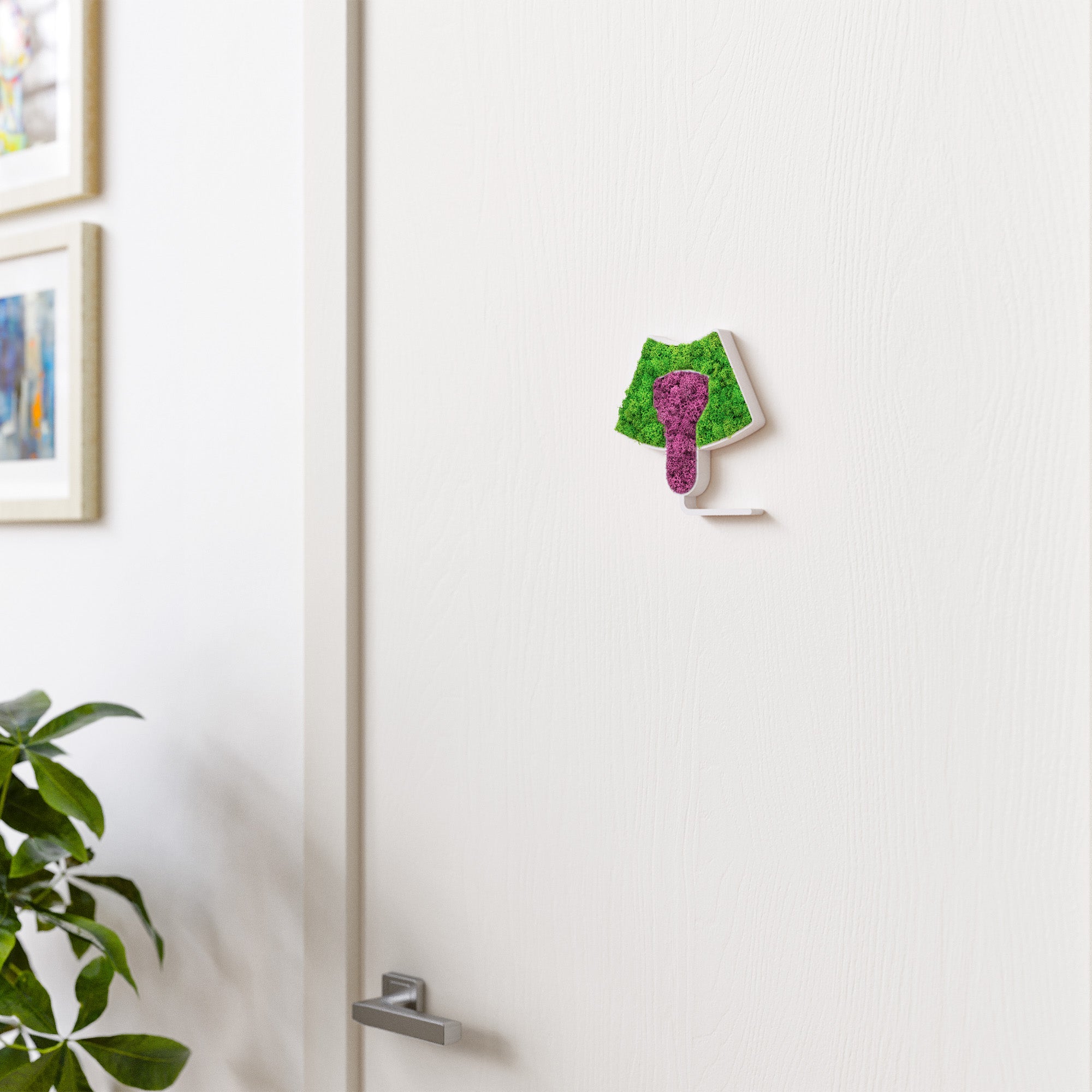 MOOSWERK Moos-Türschild Piktogramm Ultraschall – Natürliches Schild für Untersuchungszimmer Weiß