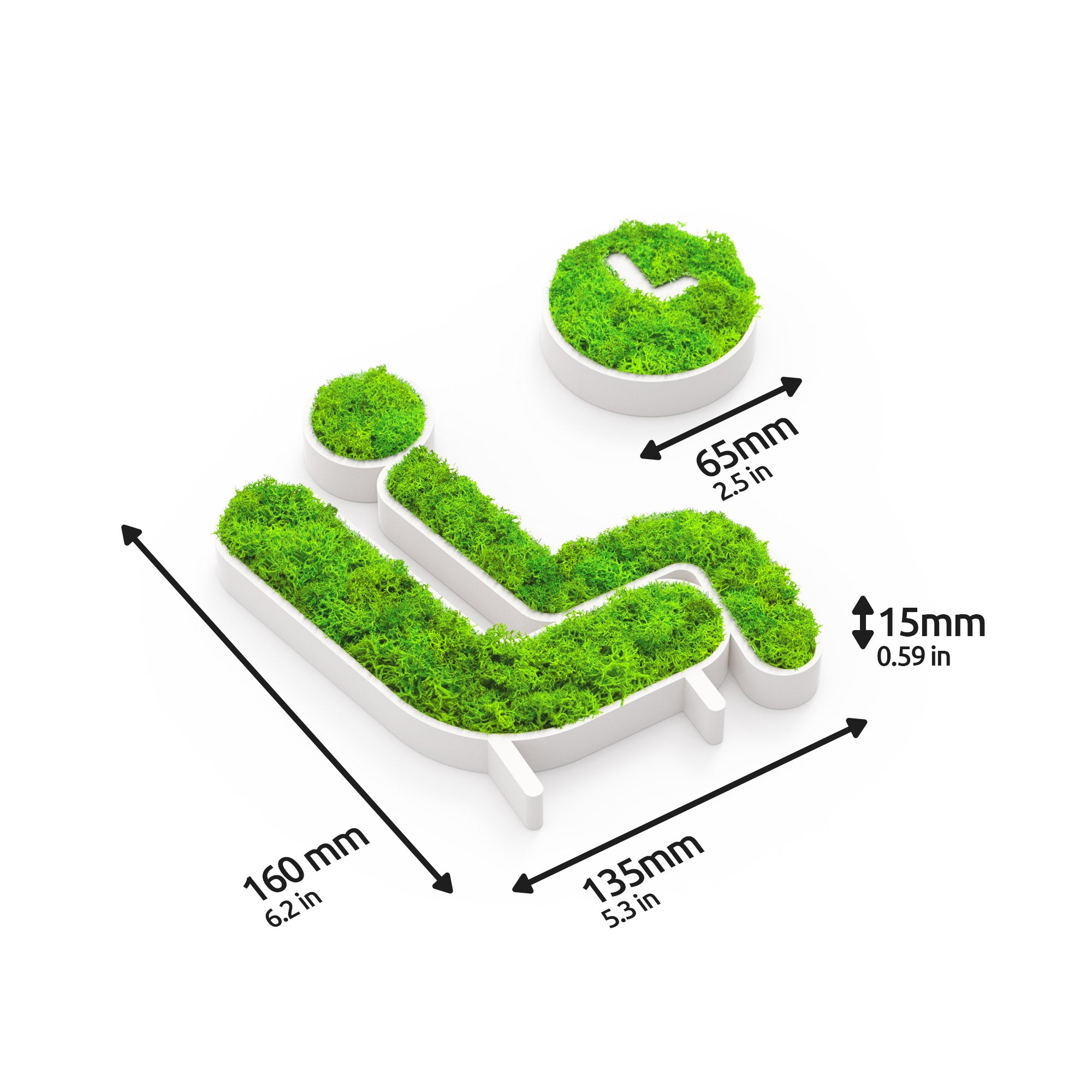 MOOSWERK Moos-Türschild Piktogramm Wartezimmer – Ruhe ausstrahlendes Schild aus Islandmoos im eleganten Rahmen Weiß