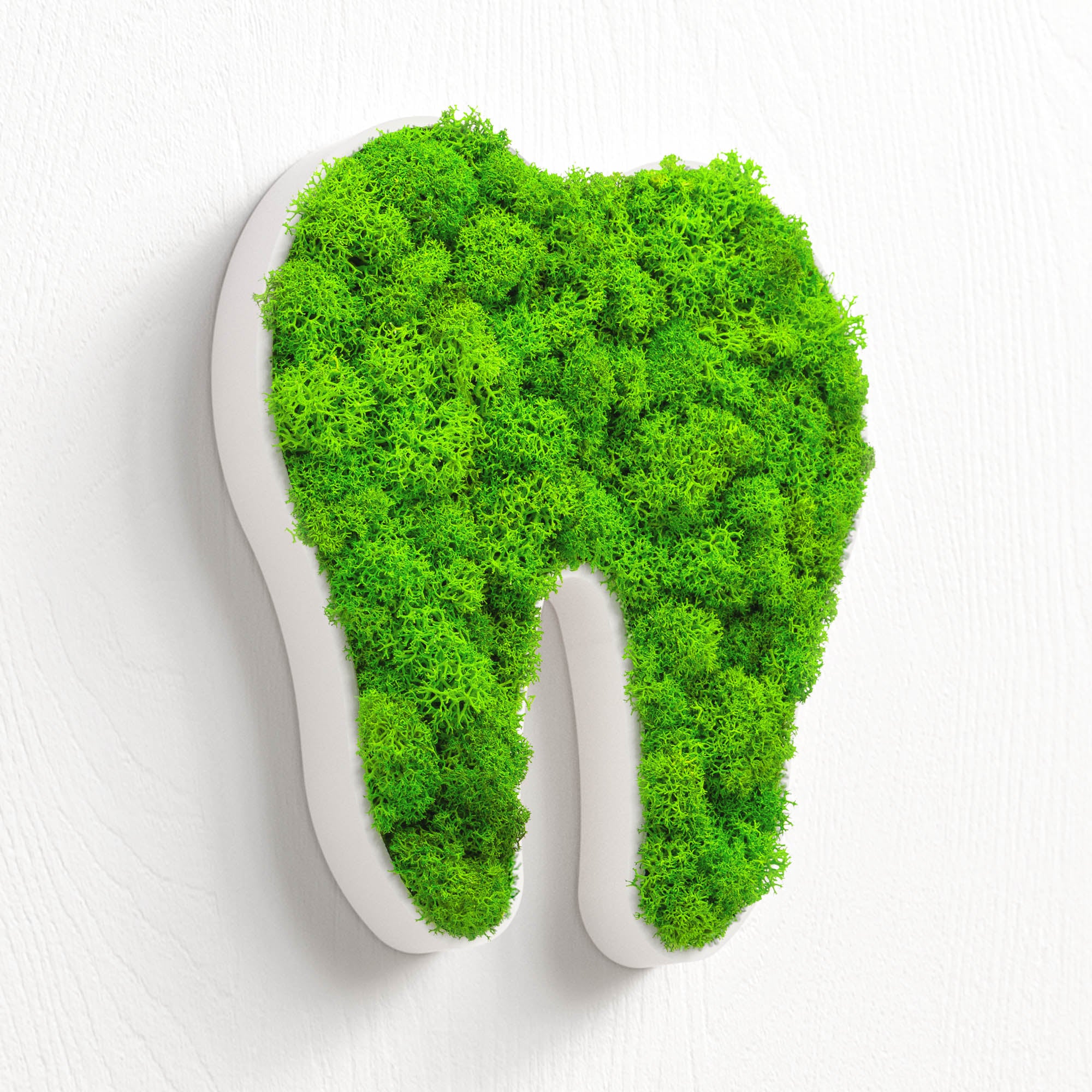 MOOSWERK Moos-Türschild Piktogramm Zahn Weiß – Perfekt für die moderne Zahnarztpraxis