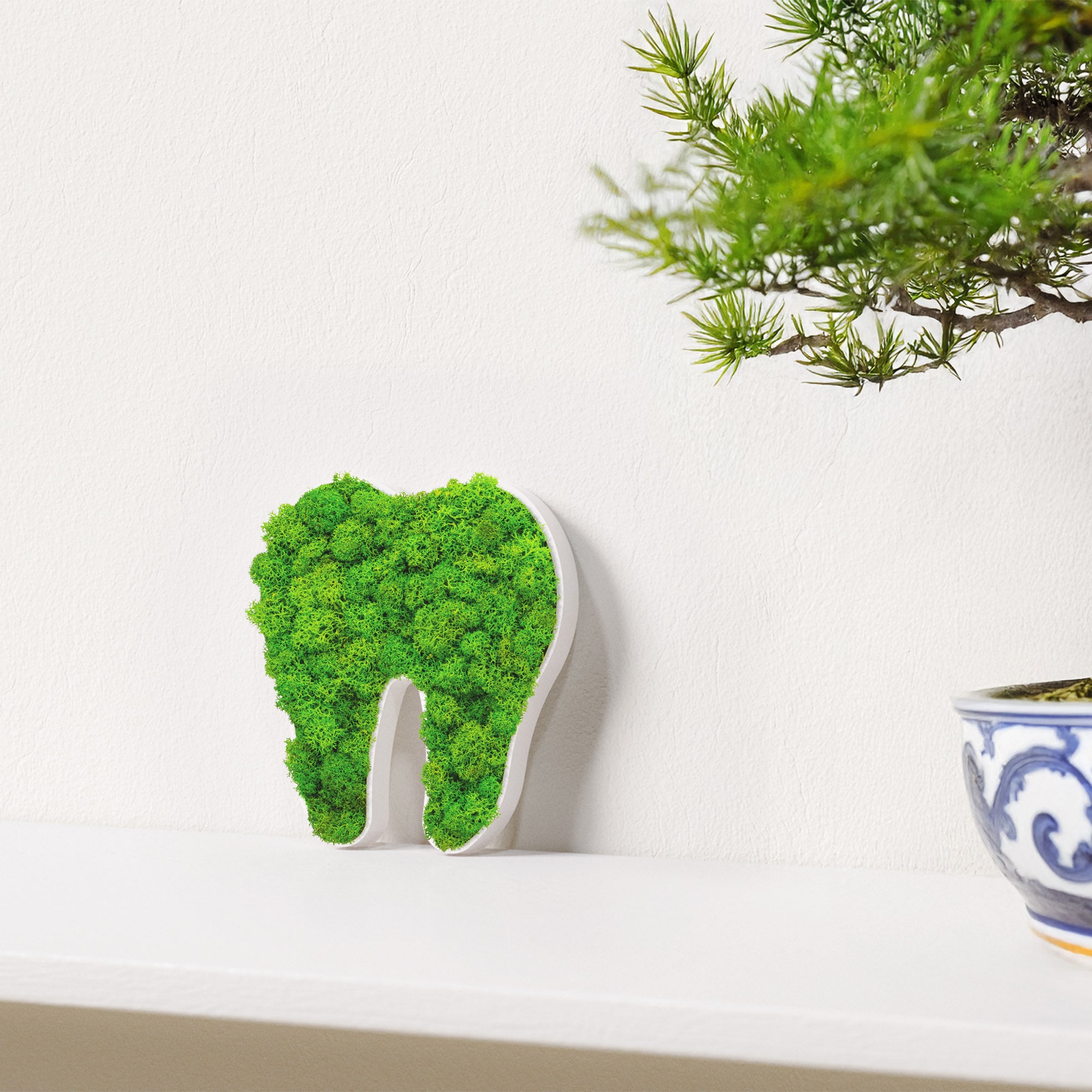 MOOSWERK Moos-Türschild Piktogramm Zahn Weiß – Perfekt für die moderne Zahnarztpraxis