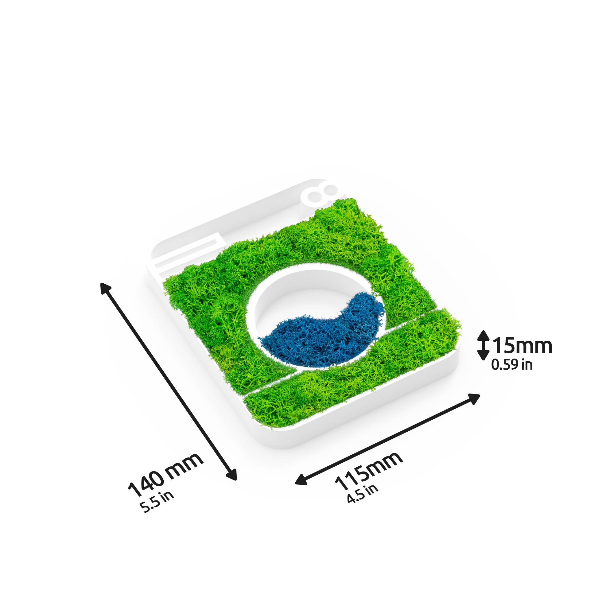 MOOSWERK Moos-Türschild Piktogramm Waschmaschine – Modernes Moosbild für Waschraum & Waschküche im weißen Rahmen