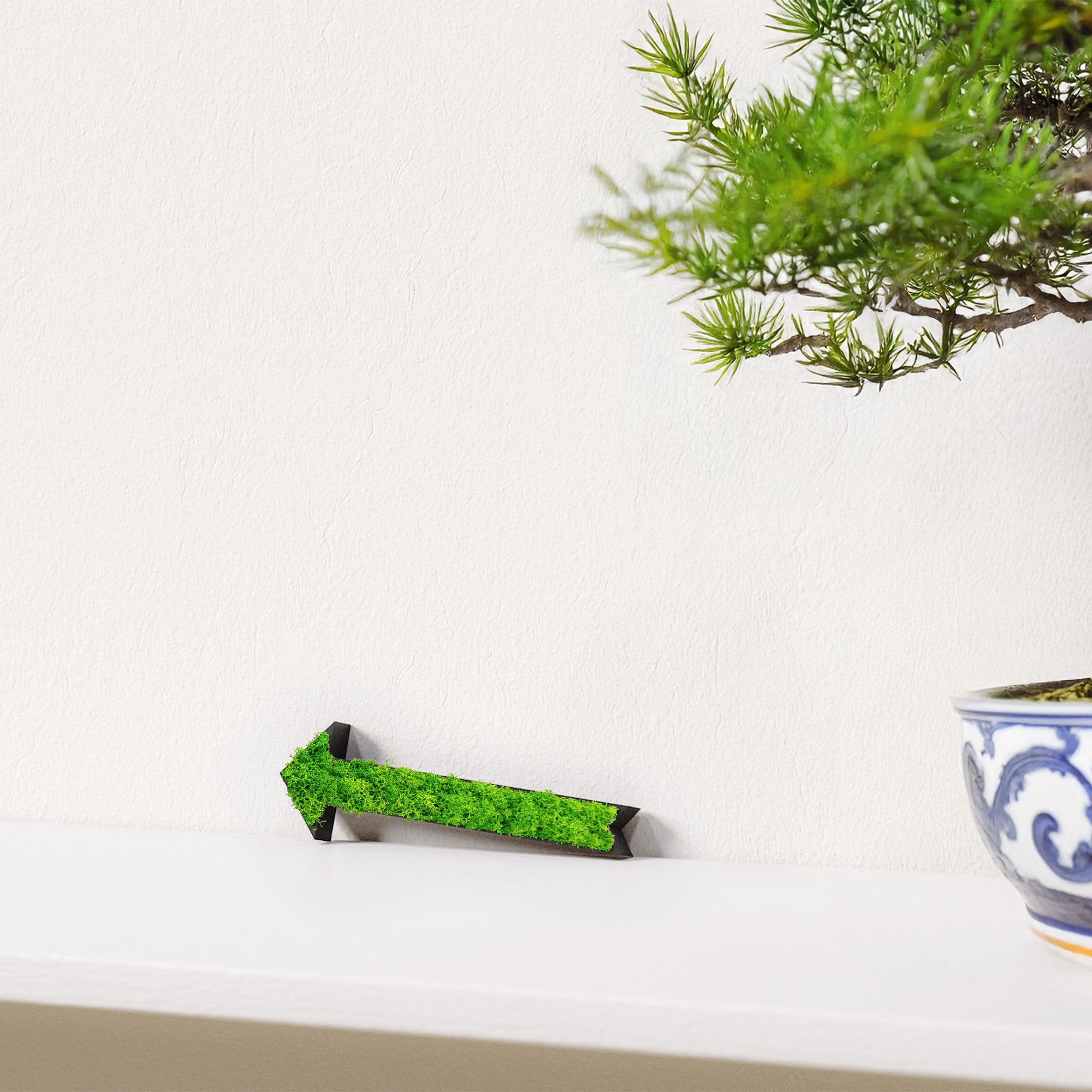 MOOSWERK Pfeil Türschild mit echtem Moos | Natur Wanddeko | Wegweiser Moosschild | Natürliches Moosbild Deko-Schild für Tür oder Wand Schwarz
