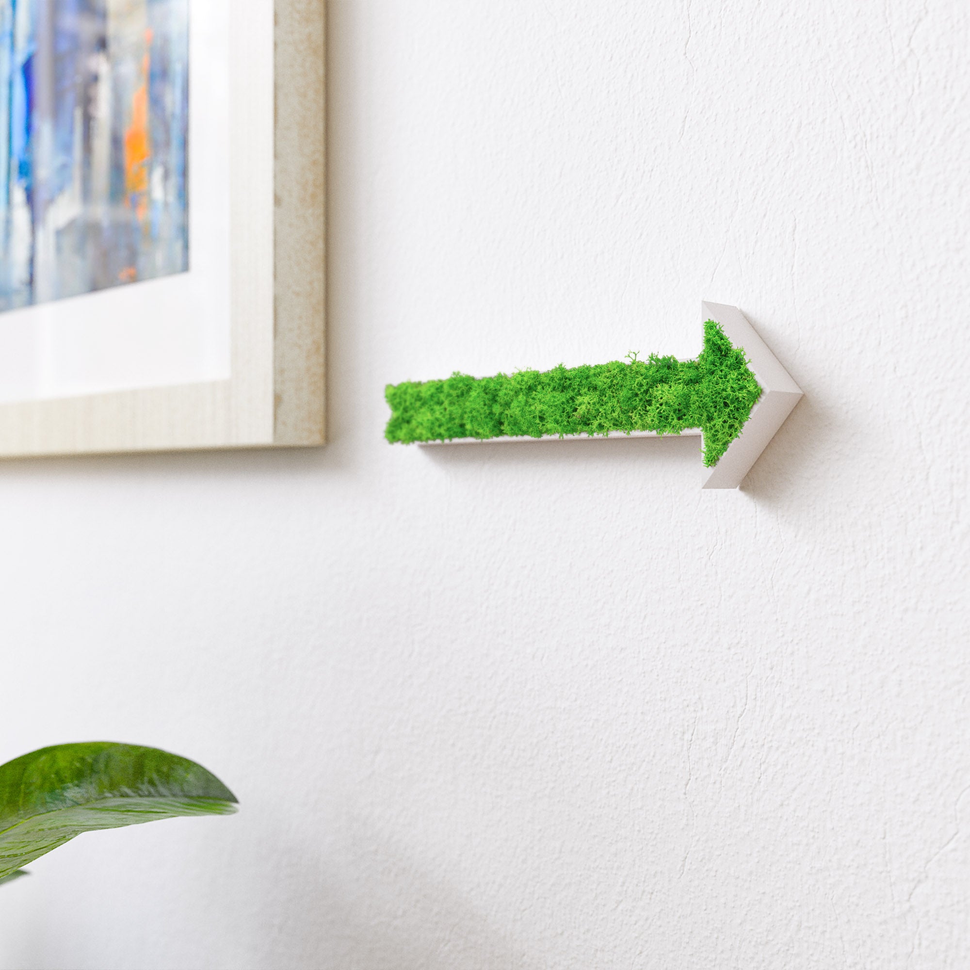 MOOSWERK Pfeil Türschild mit echtem Moos | Natur Wanddeko | Wegweiser Moosschild | Natürliches Moosbild Deko-Schild für Tür oder Wand Weiß