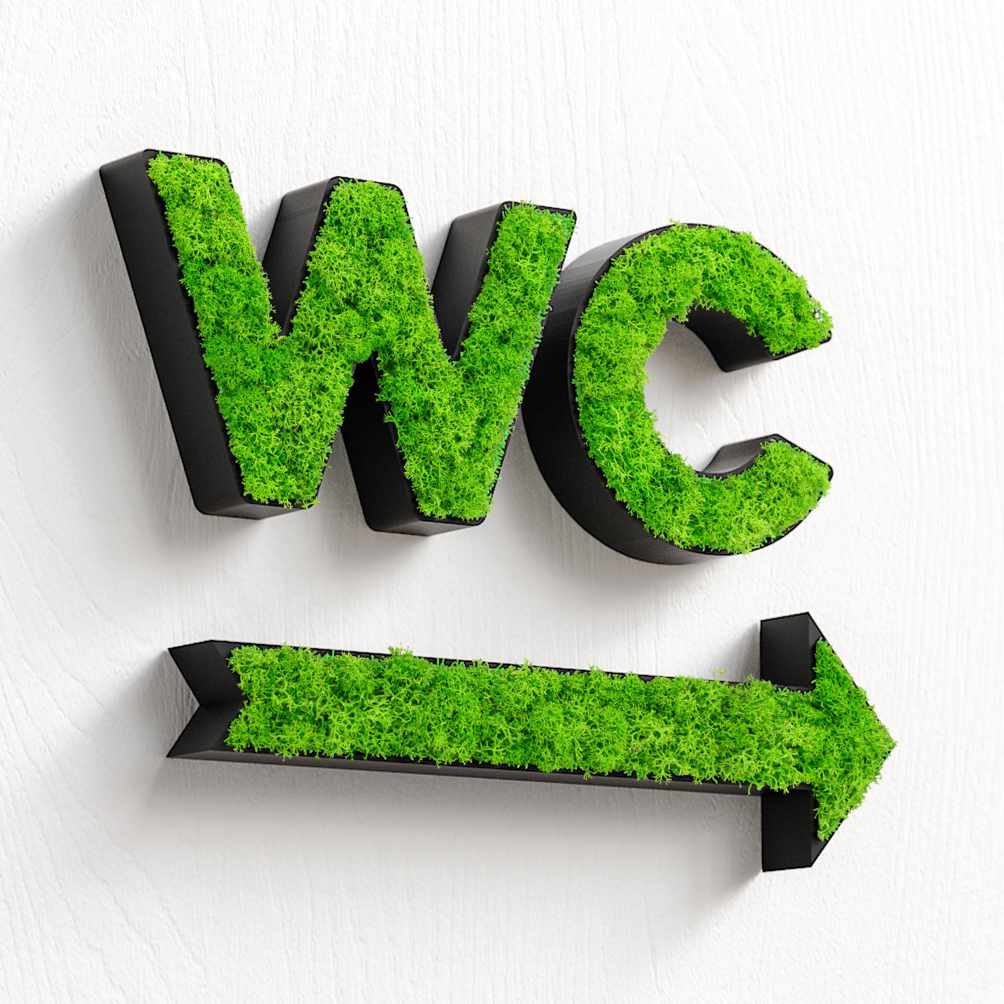 MOOSWERK WC Türschild & Wegweiser Pfeil Set | Modernes Toilettenschild aus echtem Islandmoos | Moosbild für Büro, Praxis, Restaurant & Hotel | Moosschild Schwarz