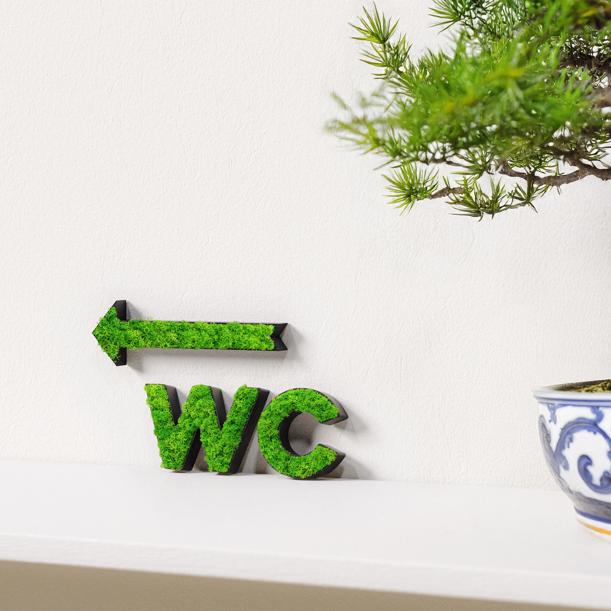 MOOSWERK WC Türschild & Wegweiser Pfeil Set | Modernes Toilettenschild aus echtem Islandmoos | Moosbild für Büro, Praxis, Restaurant & Hotel | Moosschild Schwarz