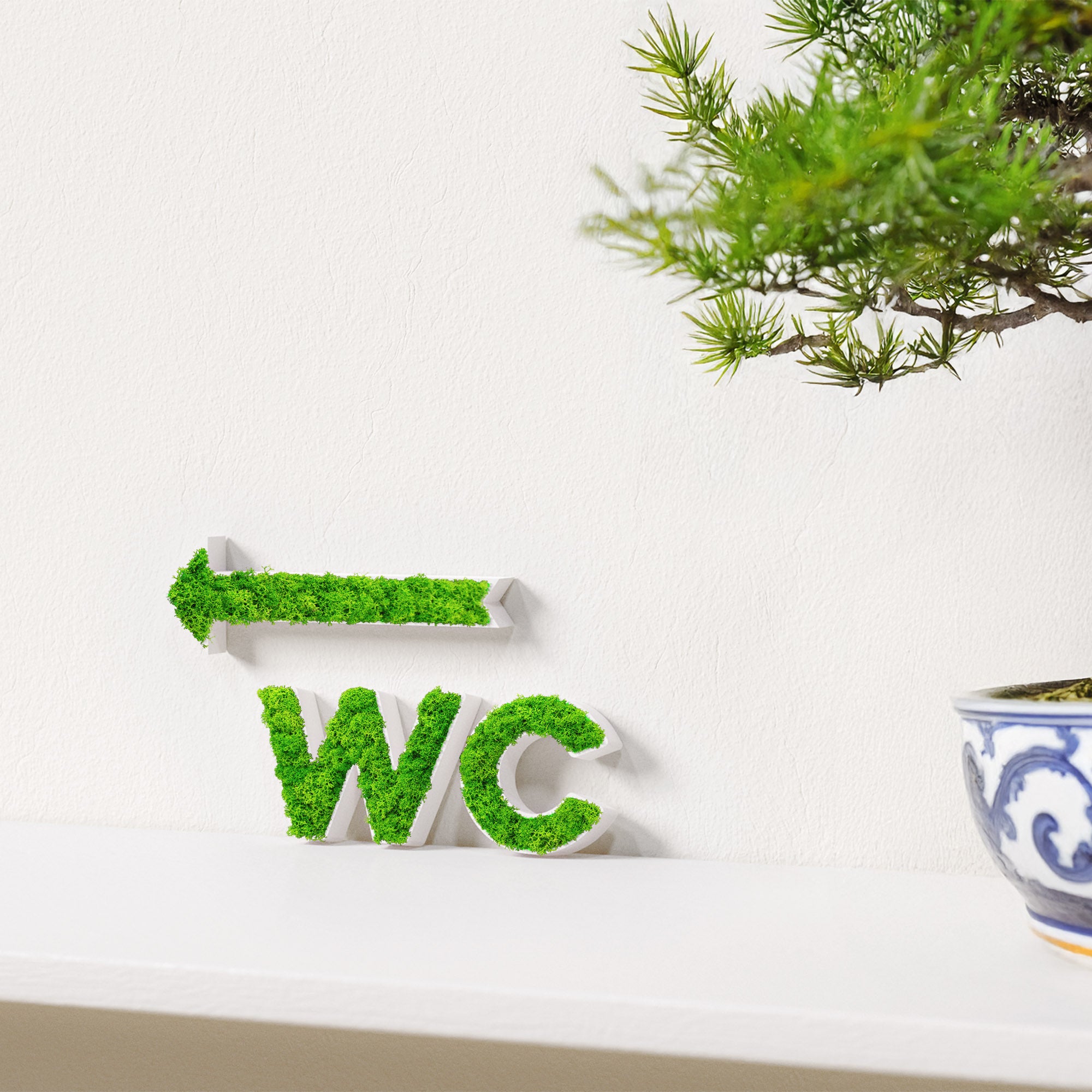 MOOSWERK WC Türschild & Wegweiser Pfeil Set | Modernes Toilettenschild aus echtem Islandmoos | Moosbild für Büro, Praxis, Restaurant & Hotel | Moosschild Weiß