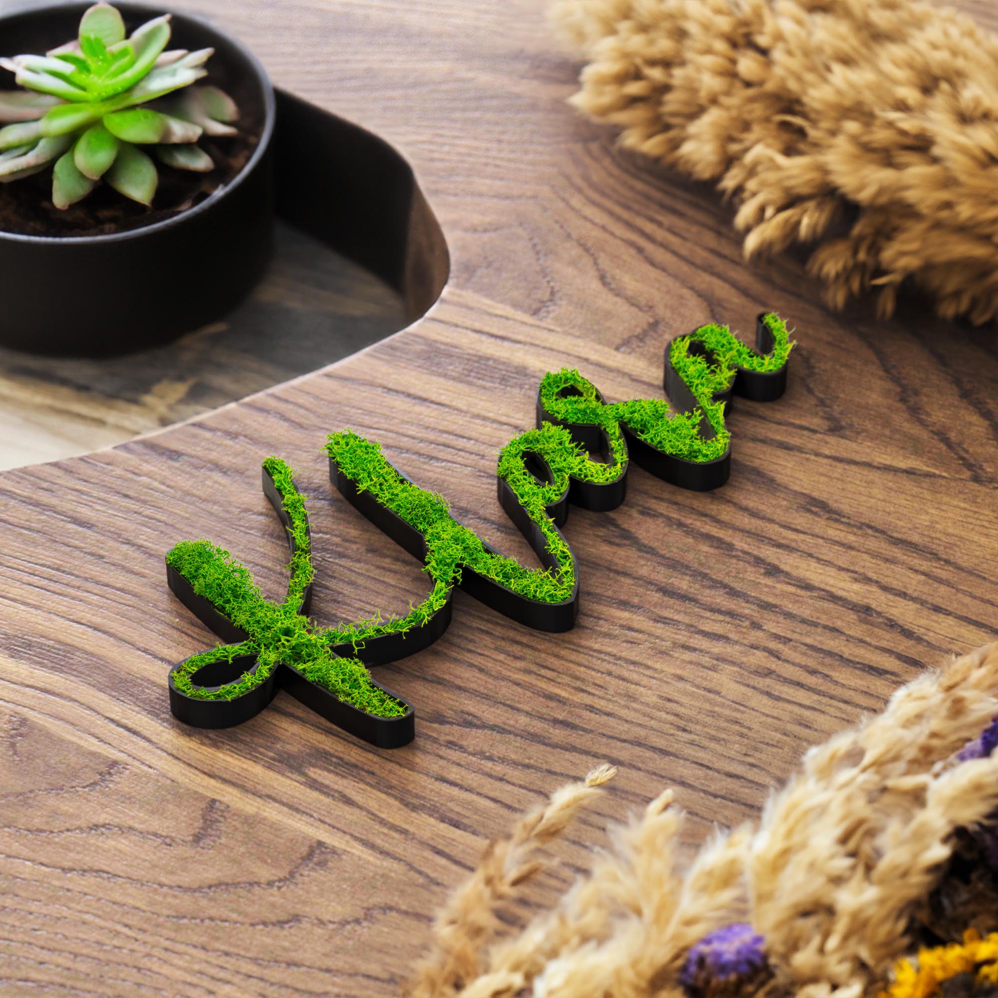 Moss Door Sign Personalized Children's Room Door Name Plate Wall Lettering Office Individual