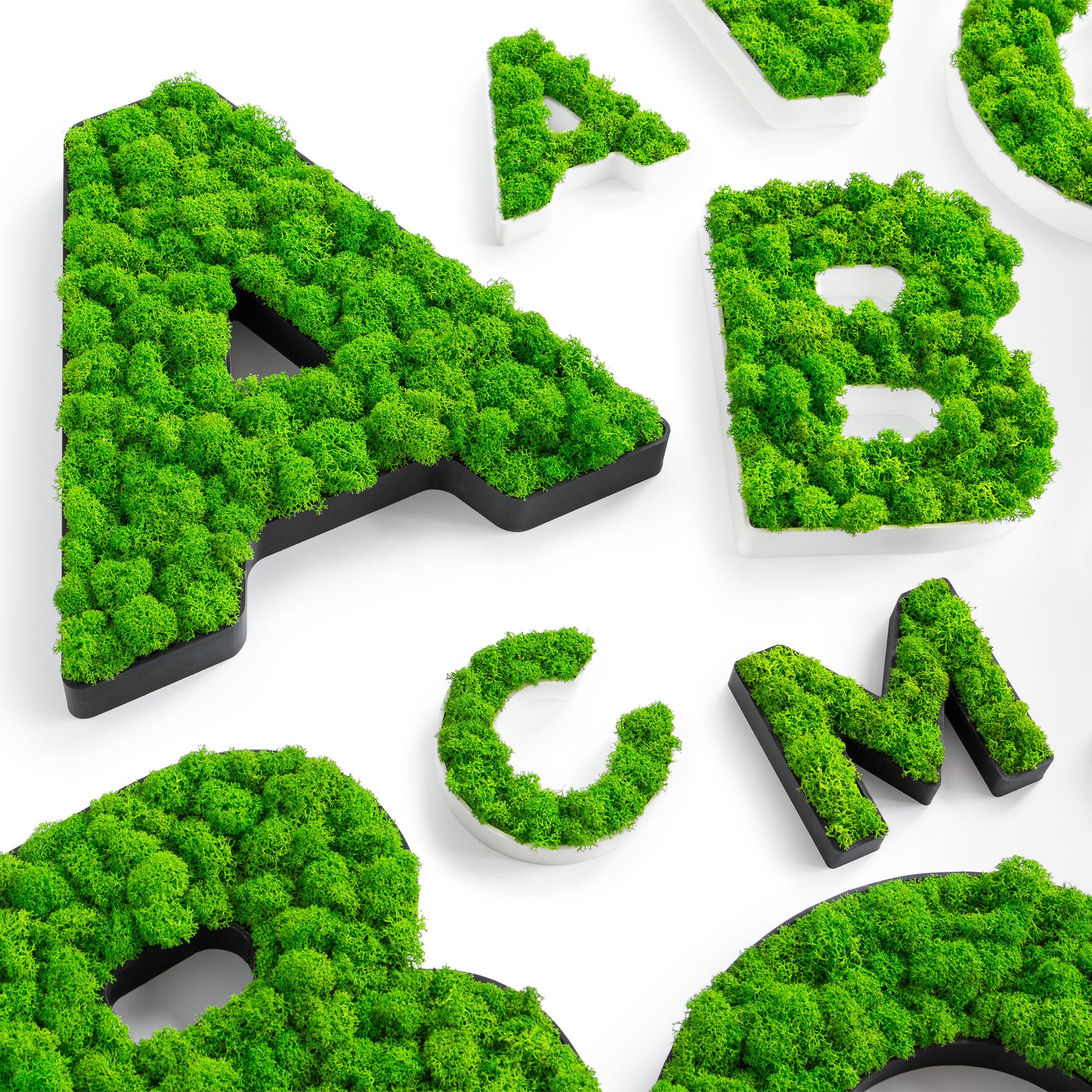 MOOSWERK Personalisiertes Moos-Wandschild – Buchstaben (A-Z, inkl. Umlaute), Zahlen (0-9) und Sonderzeichen, echtes Islandmoos