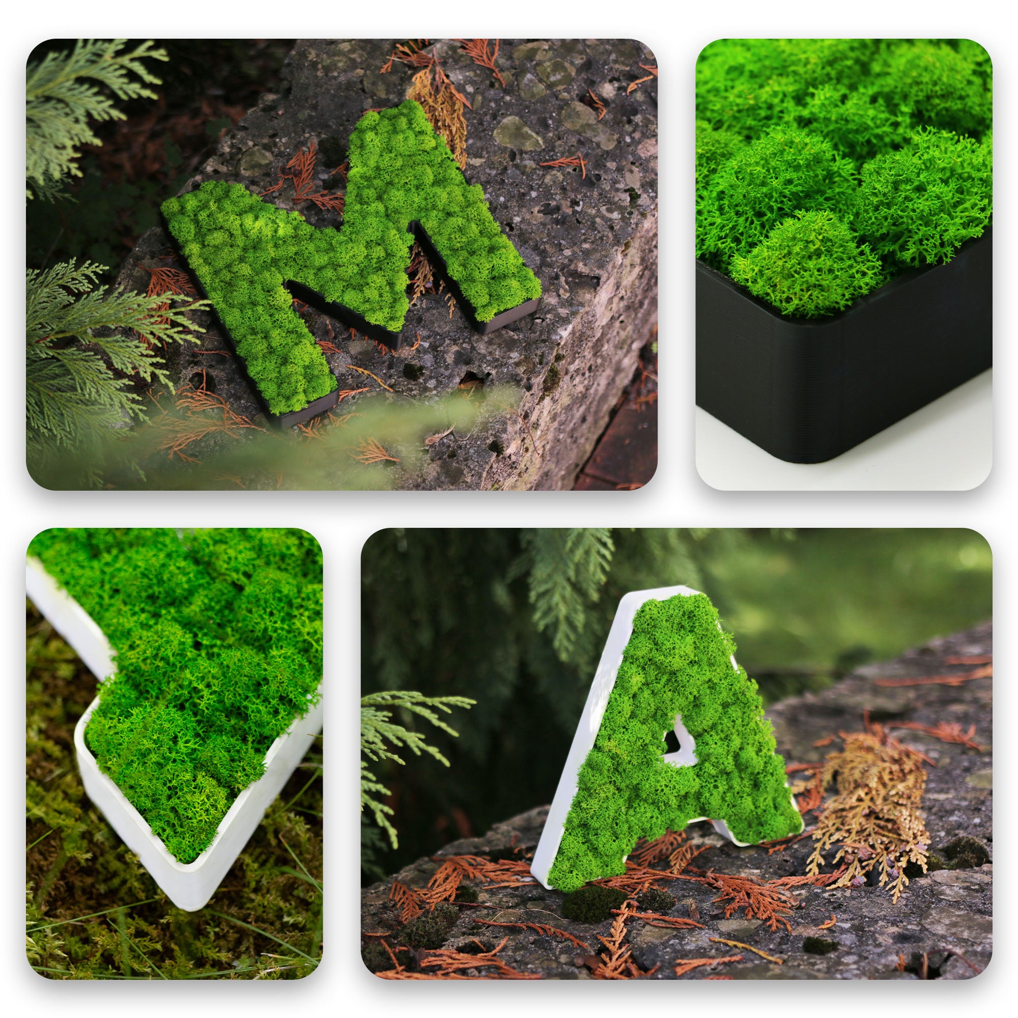 MOOSWERK Personalisiertes Moos-Wandschild – Buchstaben (A-Z, inkl. Umlaute), Zahlen (0-9) und Sonderzeichen, echtes Islandmoos