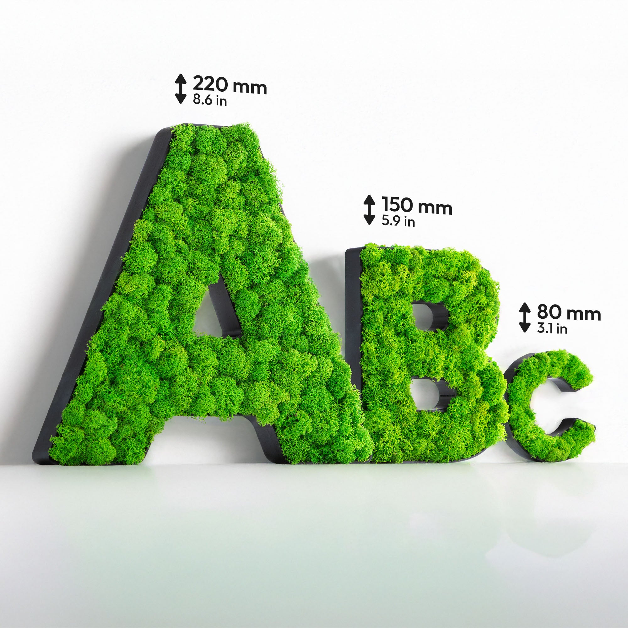 MOOSWERK Personalisiertes Moos-Wandschild – Buchstaben (A-Z, inkl. Umlaute), Zahlen (0-9) und Sonderzeichen, echtes Islandmoos