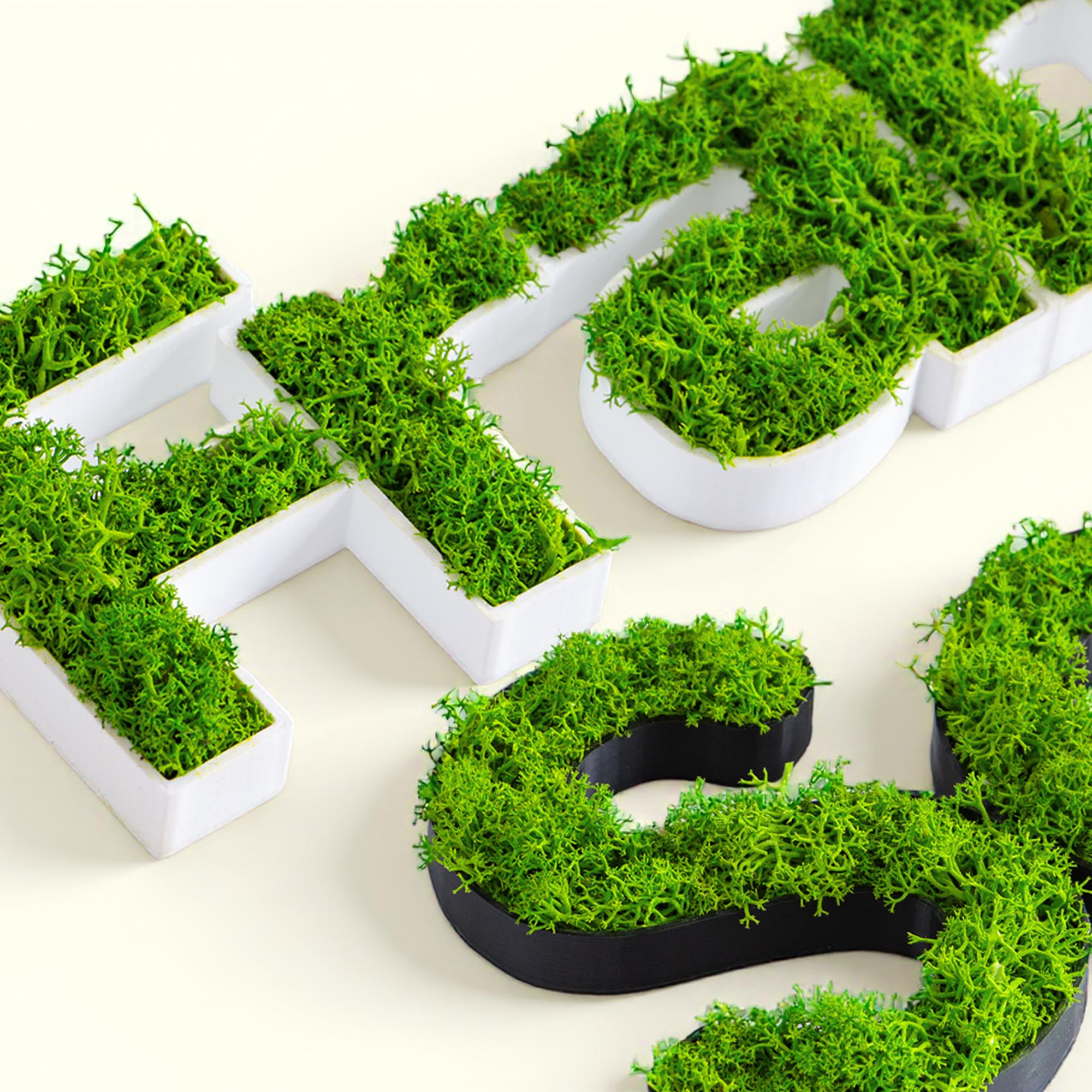 Moos Türschild Personalisiert Kinderzimmer Tür Namensschild Wand Schriftzug Büro Individuell