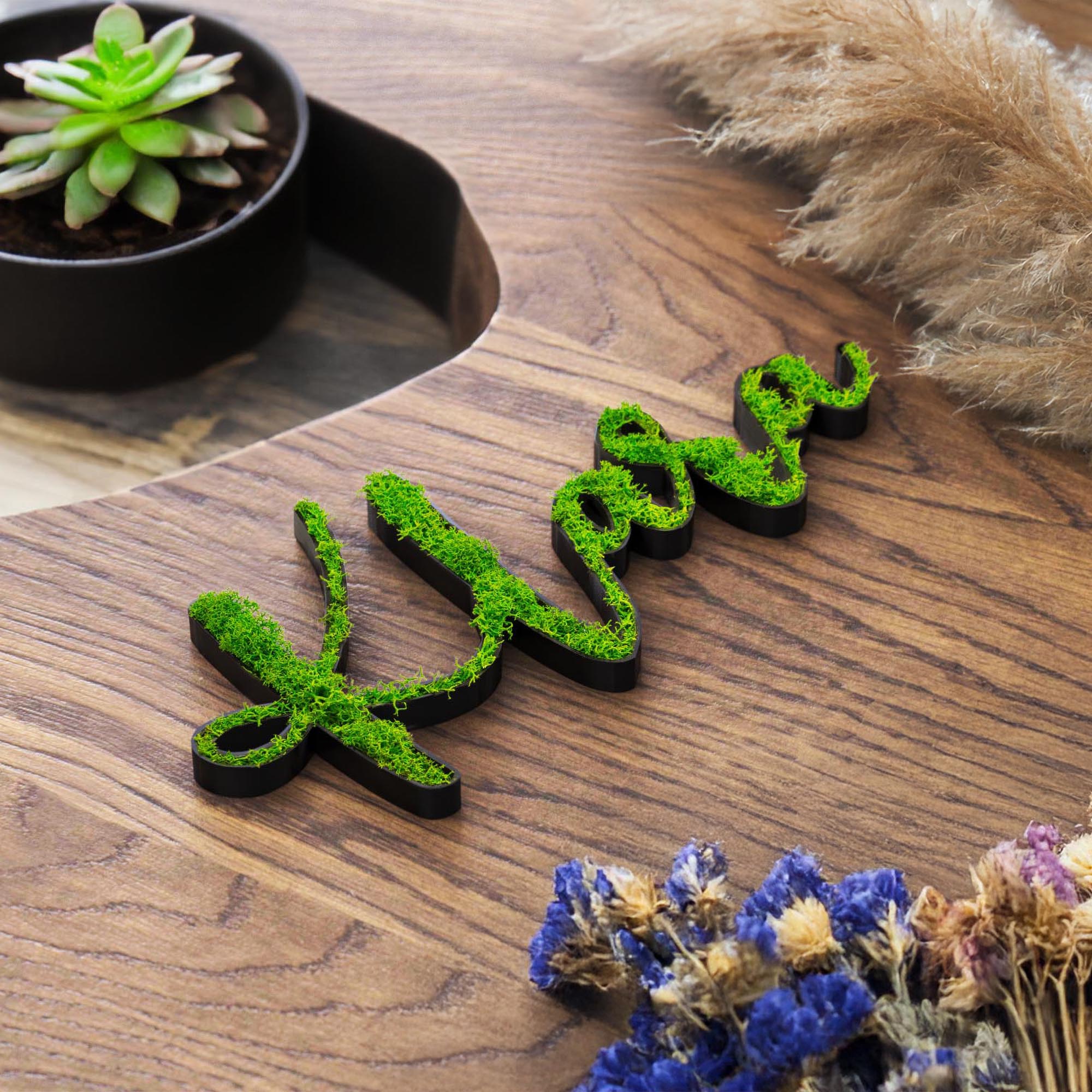 Moos Türschild Personalisiert Kinderzimmer Tür Namensschild Wand Schriftzug Büro Individuell
