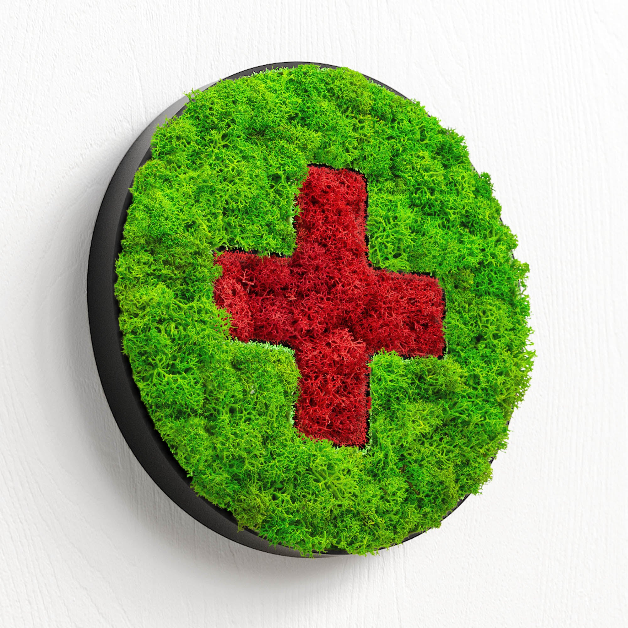 MOOSWERK Moos-Türschild Piktogramm Praxis – Stilvolle Eingangstafel aus Islandmoos im schwarzen Rahmen