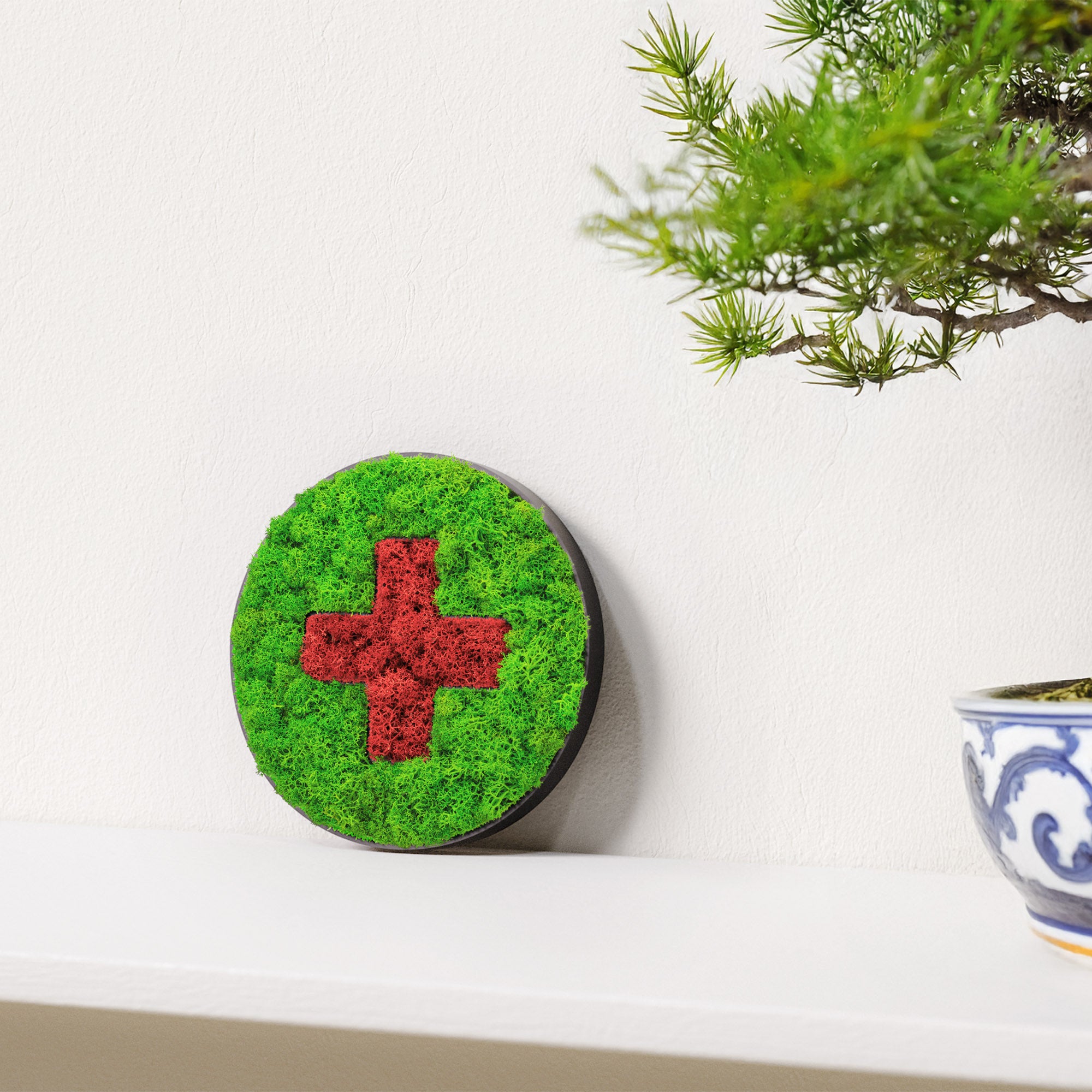 MOOSWERK Moos-Türschild Piktogramm Praxis – Stilvolle Eingangstafel aus Islandmoos im schwarzen Rahmen