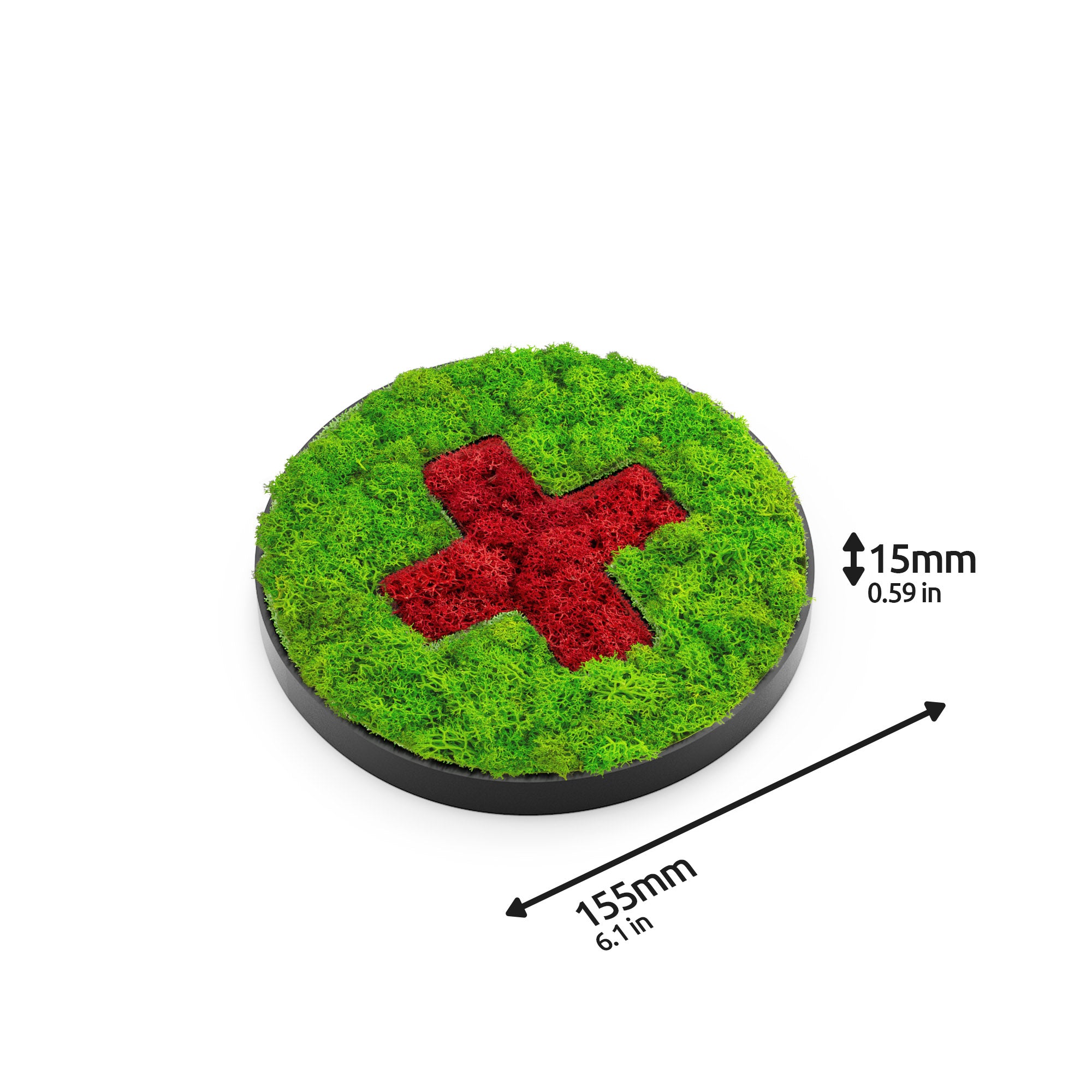 MOOSWERK Moos-Türschild Piktogramm Praxis – Stilvolle Eingangstafel aus Islandmoos im schwarzen Rahmen