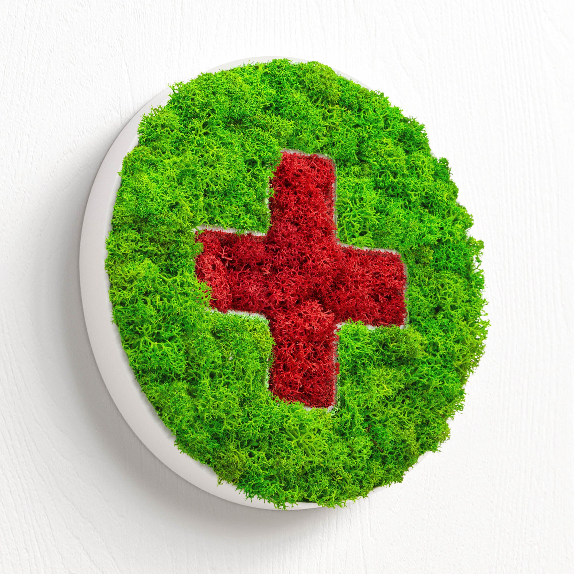 MOOSWERK Moos-Türschild Piktogramm Praxis – Stilvolle Eingangstafel aus Islandmoos im weißen Rahmen