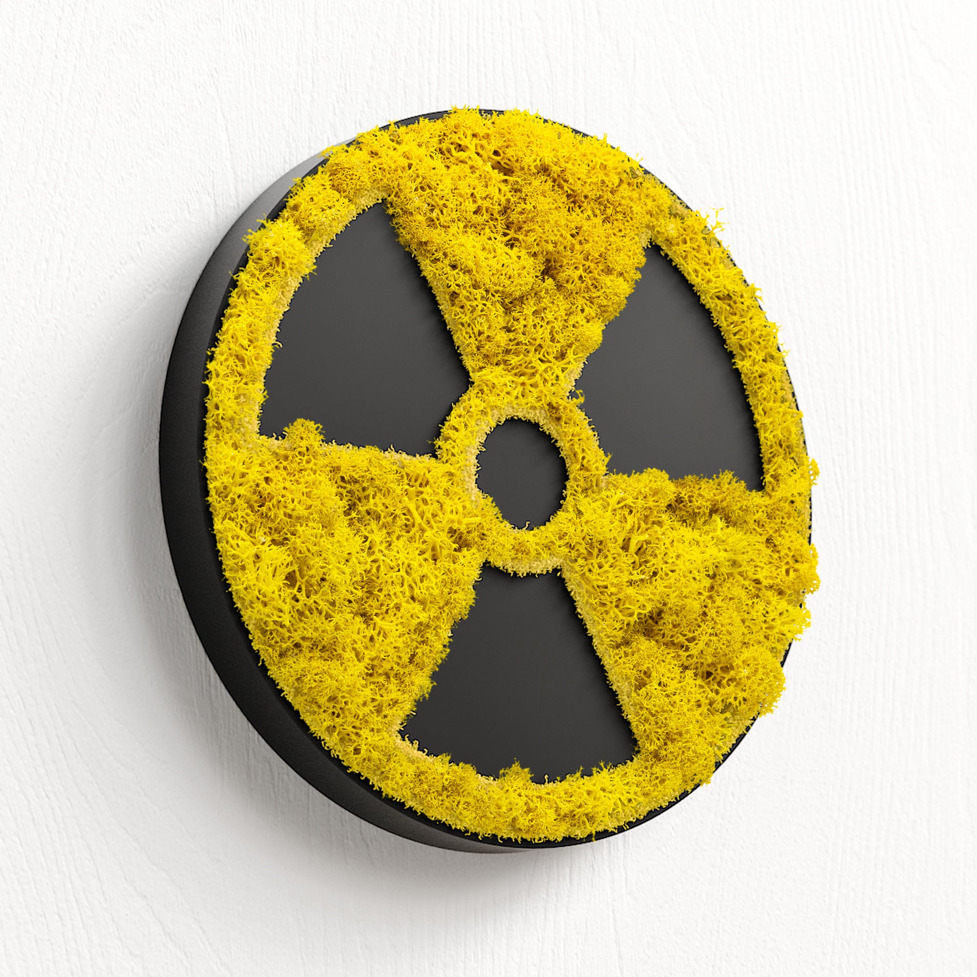 MOOSWERK Moos-Türschild Piktogramm Röntgen – Elegante Beschilderung in Schwarz für den Diagnostikraum