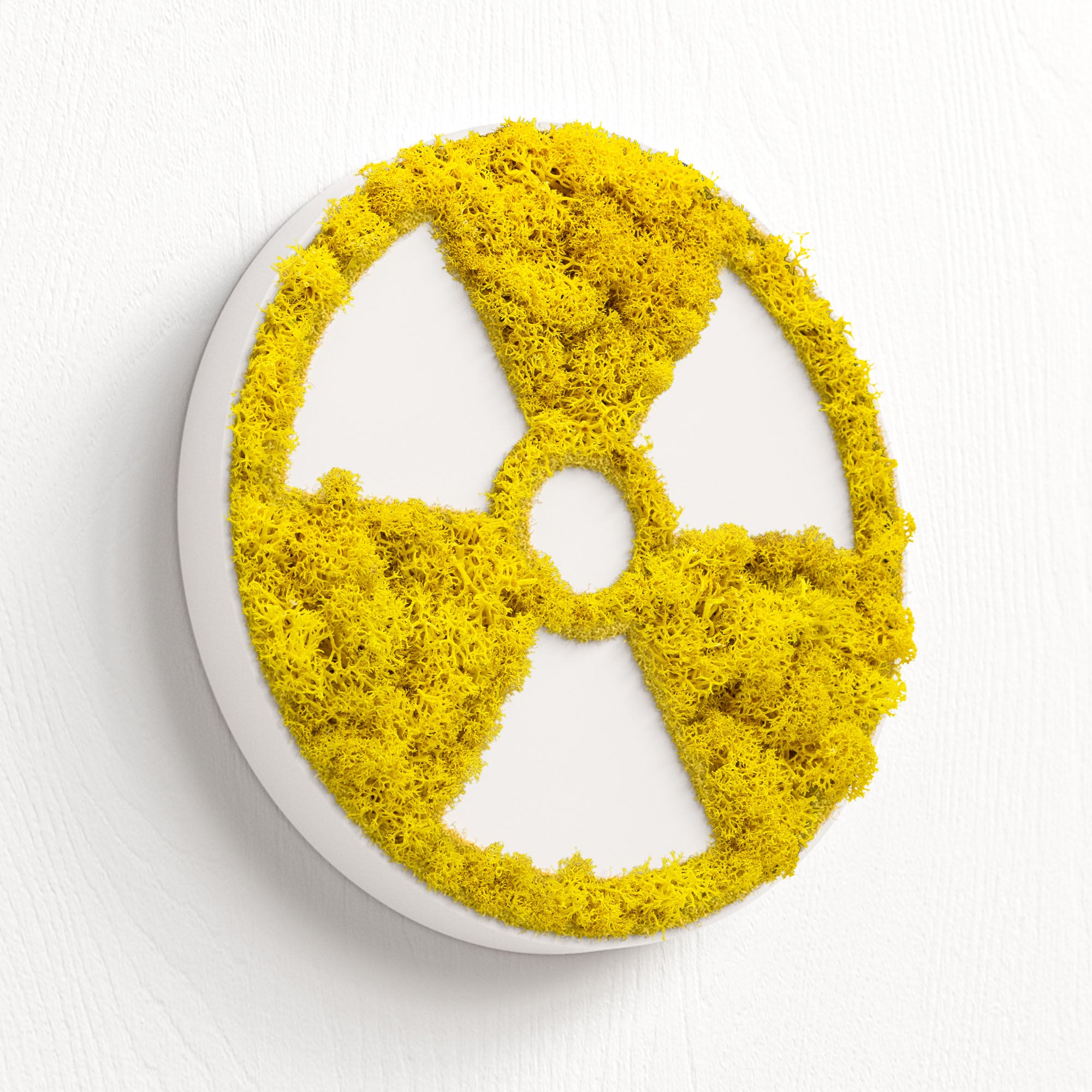 MOOSWERK Moos-Türschild Piktogramm Röntgen – Elegante Beschilderung in Weiß für den Diagnostikraum