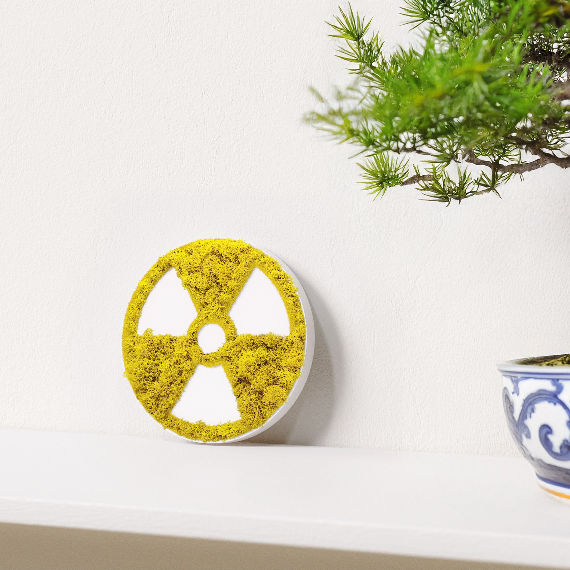 MOOSWERK Moos-Türschild Piktogramm Röntgen – Elegante Beschilderung in Weiß für den Diagnostikraum