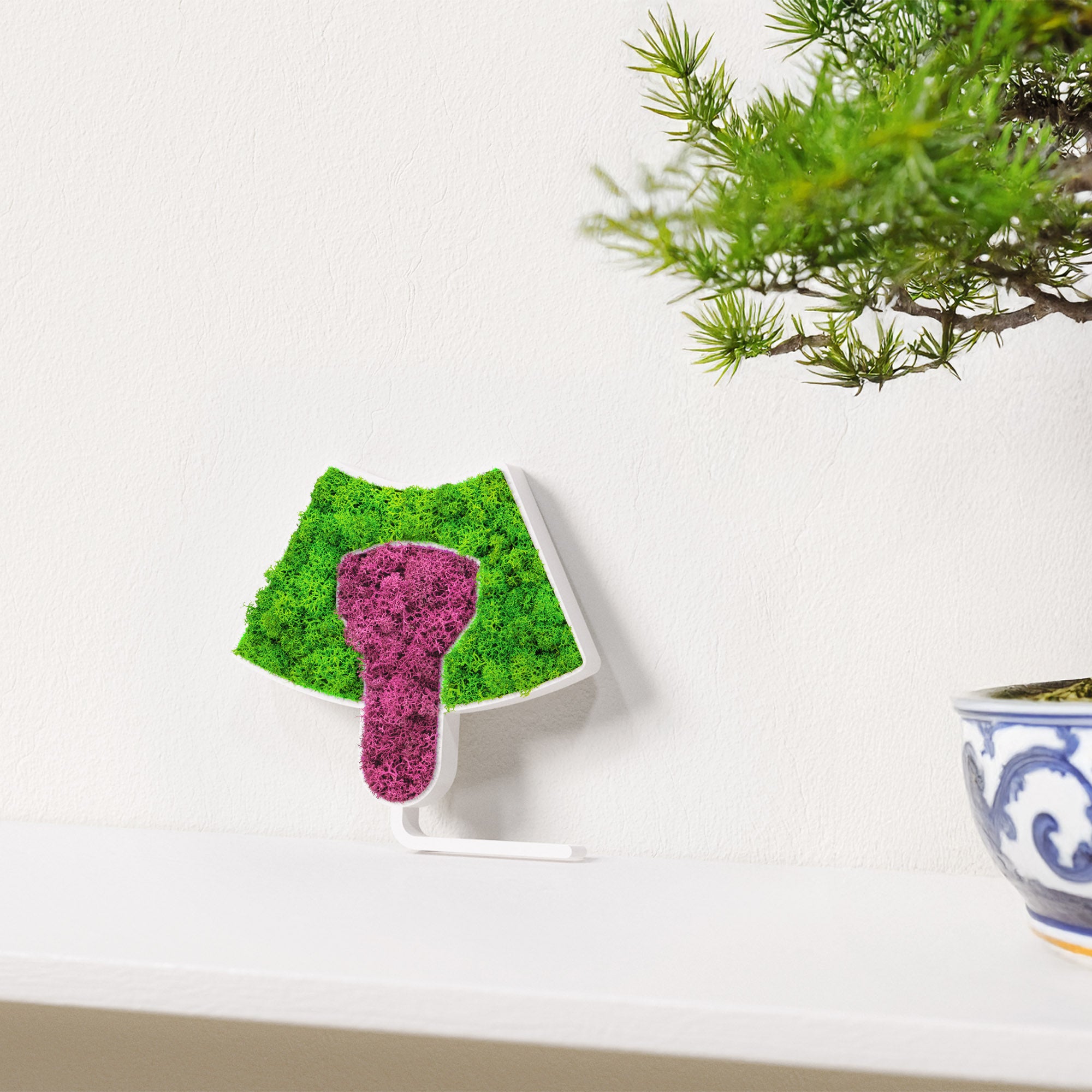 MOOSWERK Moos-Türschild Piktogramm Ultraschall – Natürliches Schild für Untersuchungszimmer Weiß