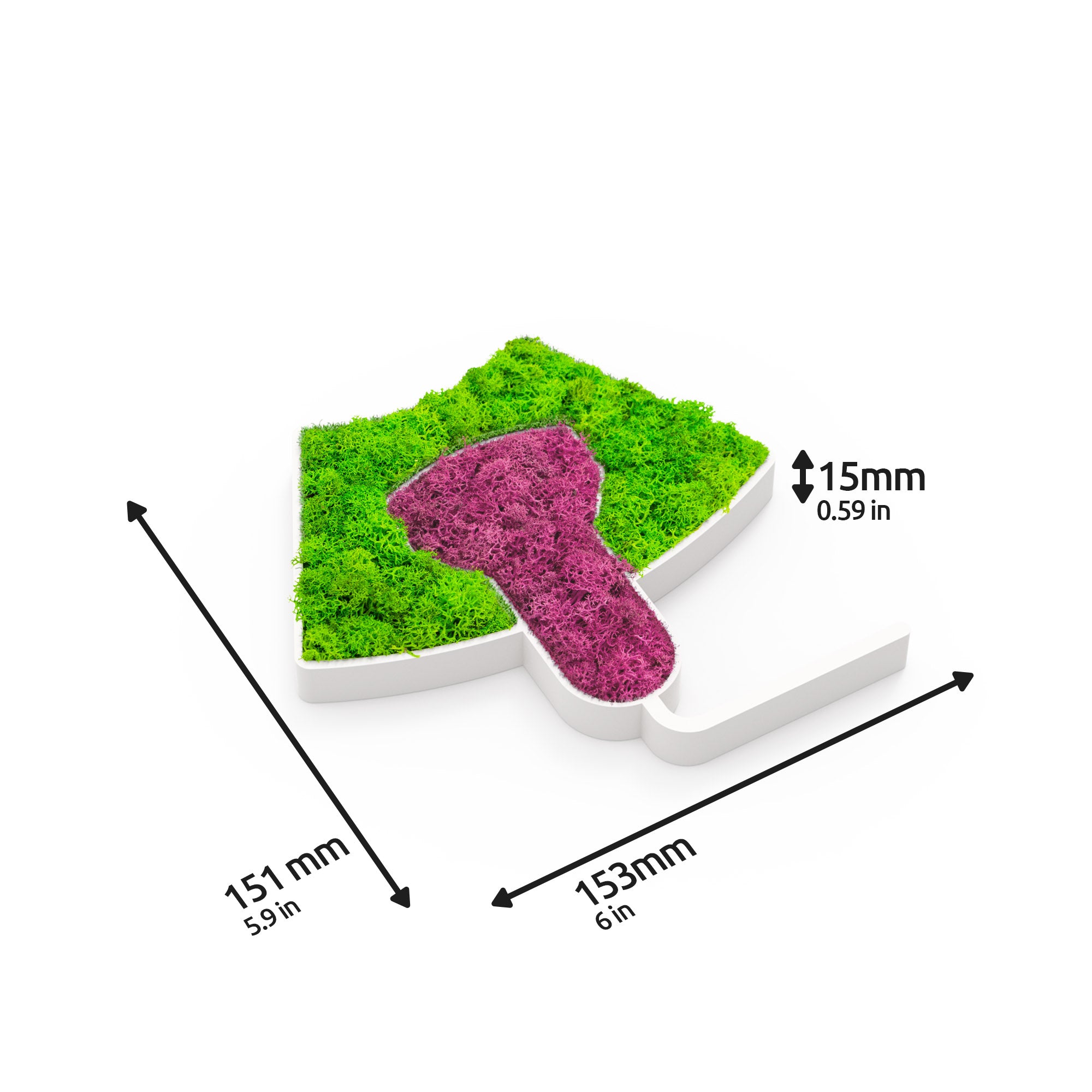 MOOSWERK Moos-Türschild Piktogramm Ultraschall – Natürliches Schild für Untersuchungszimmer Weiß