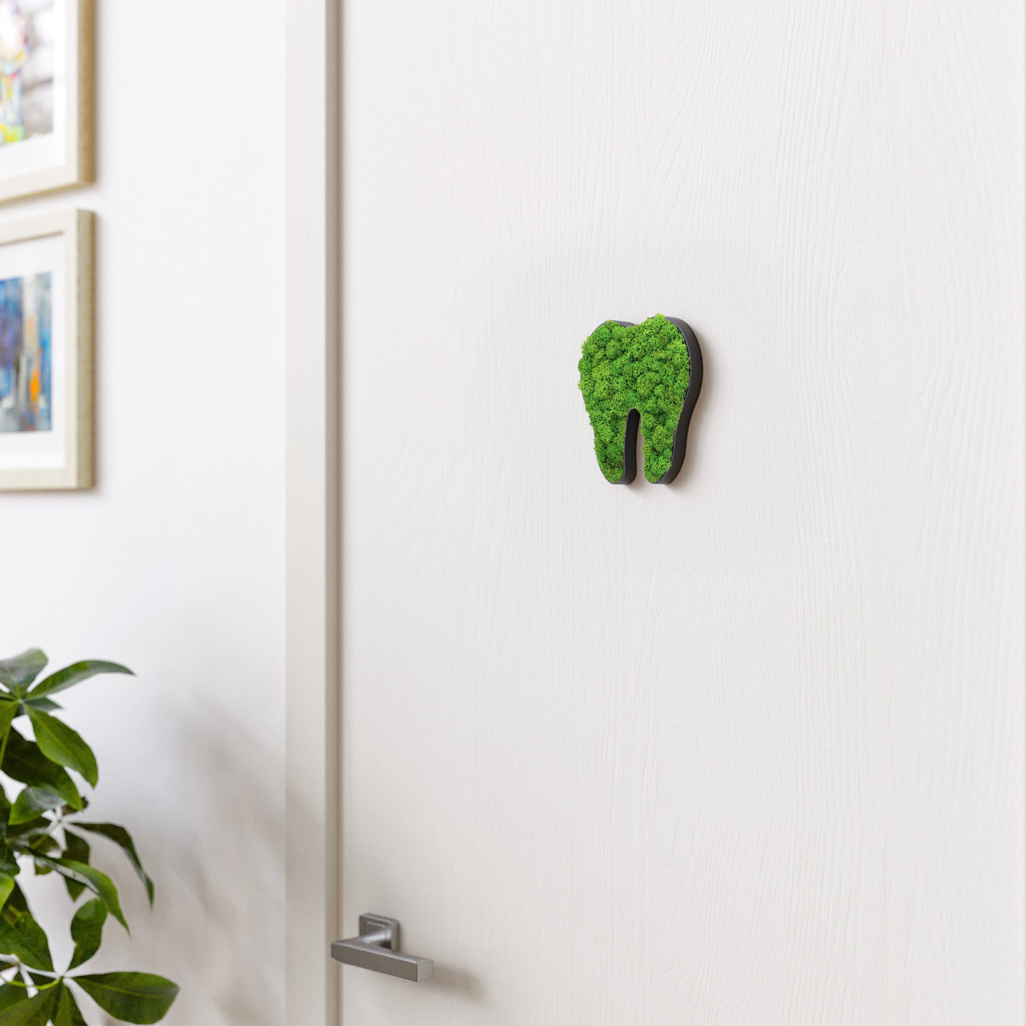 MOOSWERK Moos-Türschild Piktogramm Zahn Schwarz – Perfekt für die moderne Zahnarztpraxis