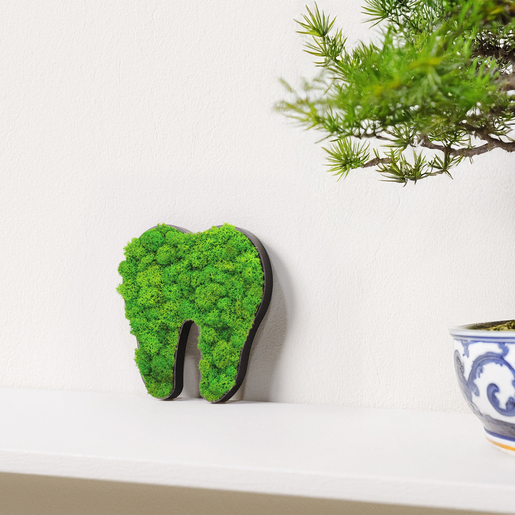 MOOSWERK Moos-Türschild Piktogramm Zahn Schwarz – Perfekt für die moderne Zahnarztpraxis