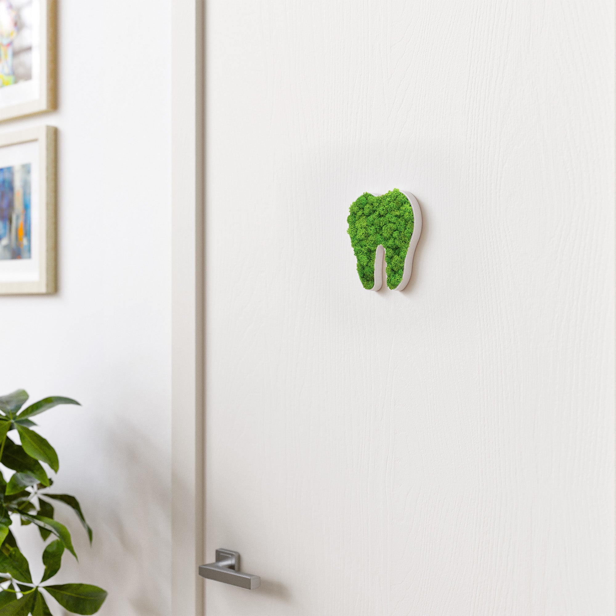 MOOSWERK Moos-Türschild Piktogramm Zahn Weiß – Perfekt für die moderne Zahnarztpraxis