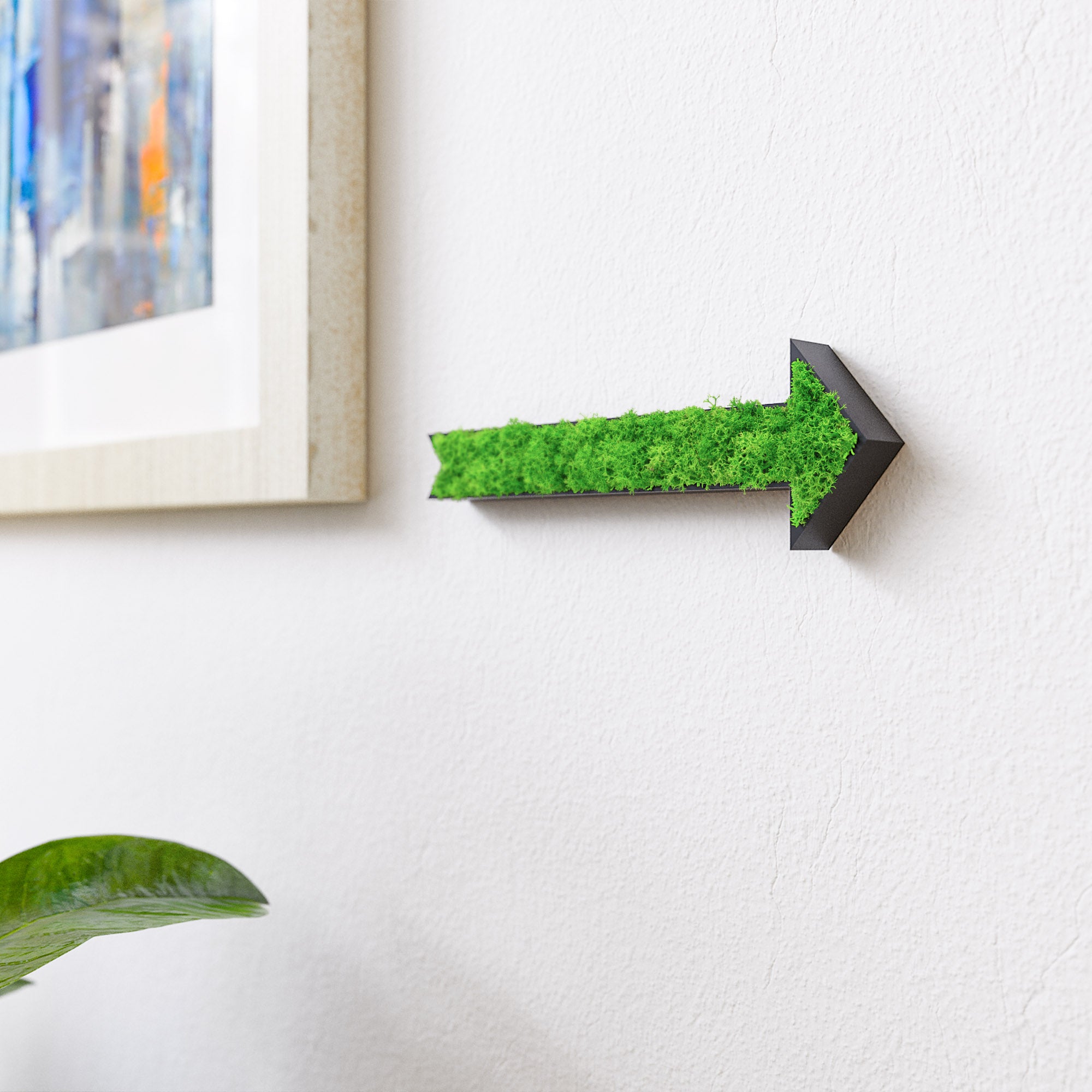 MOOSWERK Pfeil Türschild mit echtem Moos | Natur Wanddeko | Wegweiser Moosschild | Natürliches Moosbild Deko-Schild für Tür oder Wand Schwarz