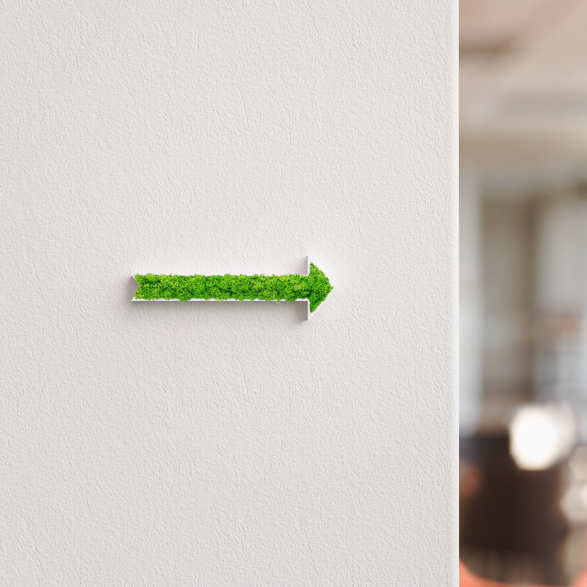 MOOSWERK Pfeil Türschild mit echtem Moos | Natur Wanddeko | Wegweiser Moosschild | Natürliches Moosbild Deko-Schild für Tür oder Wand Weiß