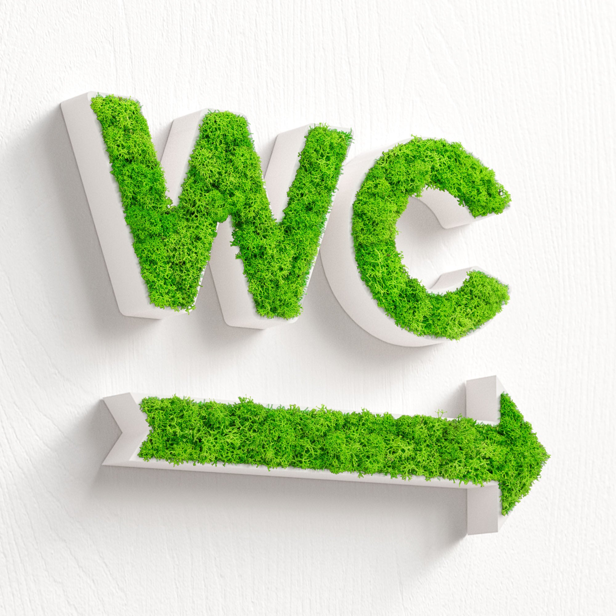 MOOSWERK WC Türschild & Wegweiser Pfeil Set | Modernes Toilettenschild aus echtem Islandmoos | Moosbild für Büro, Praxis, Restaurant & Hotel | Moosschild Weiß