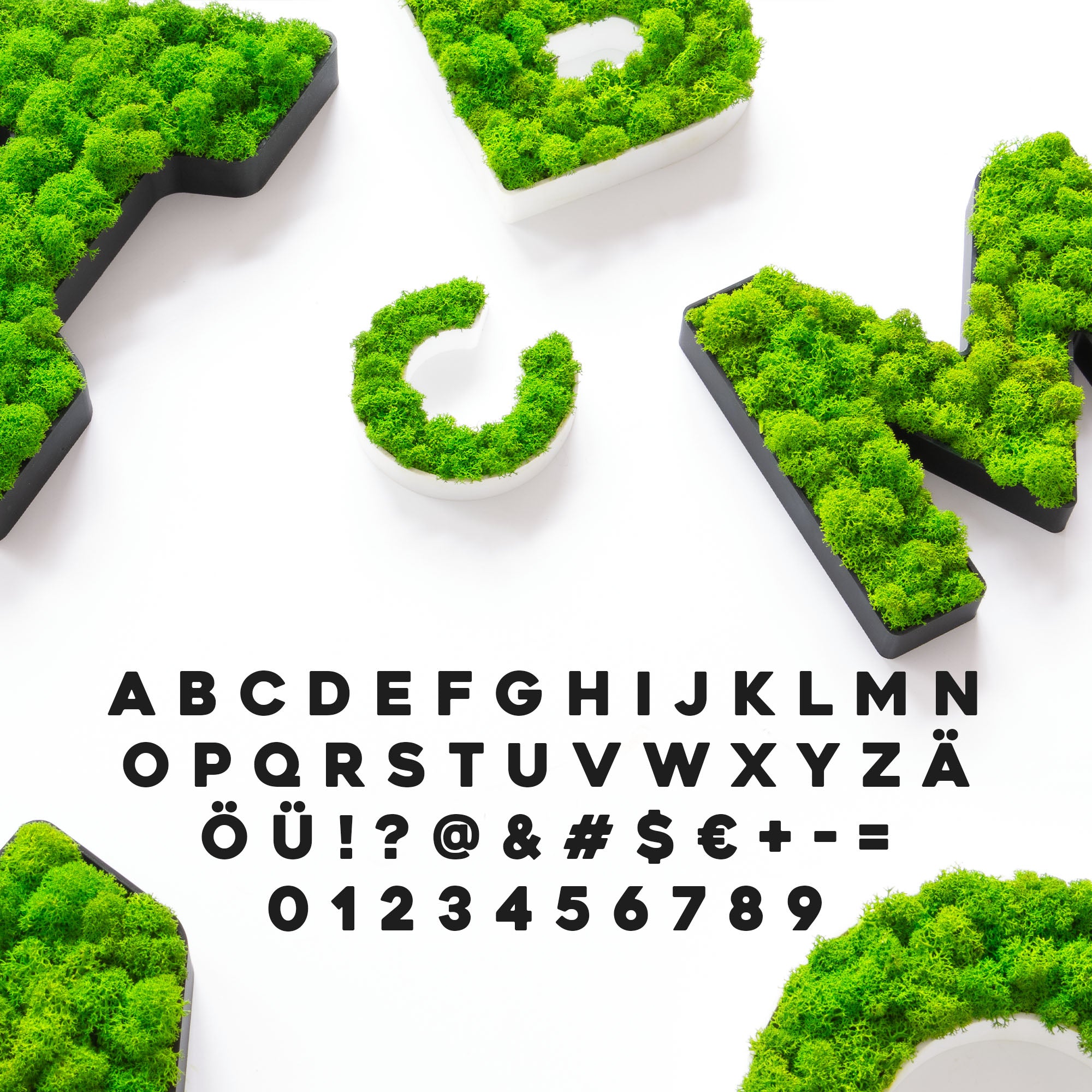 MOOSWERK Personalisiertes Moos-Wandschild – Buchstaben (A-Z, inkl. Umlaute), Zahlen (0-9) und Sonderzeichen, echtes Islandmoos